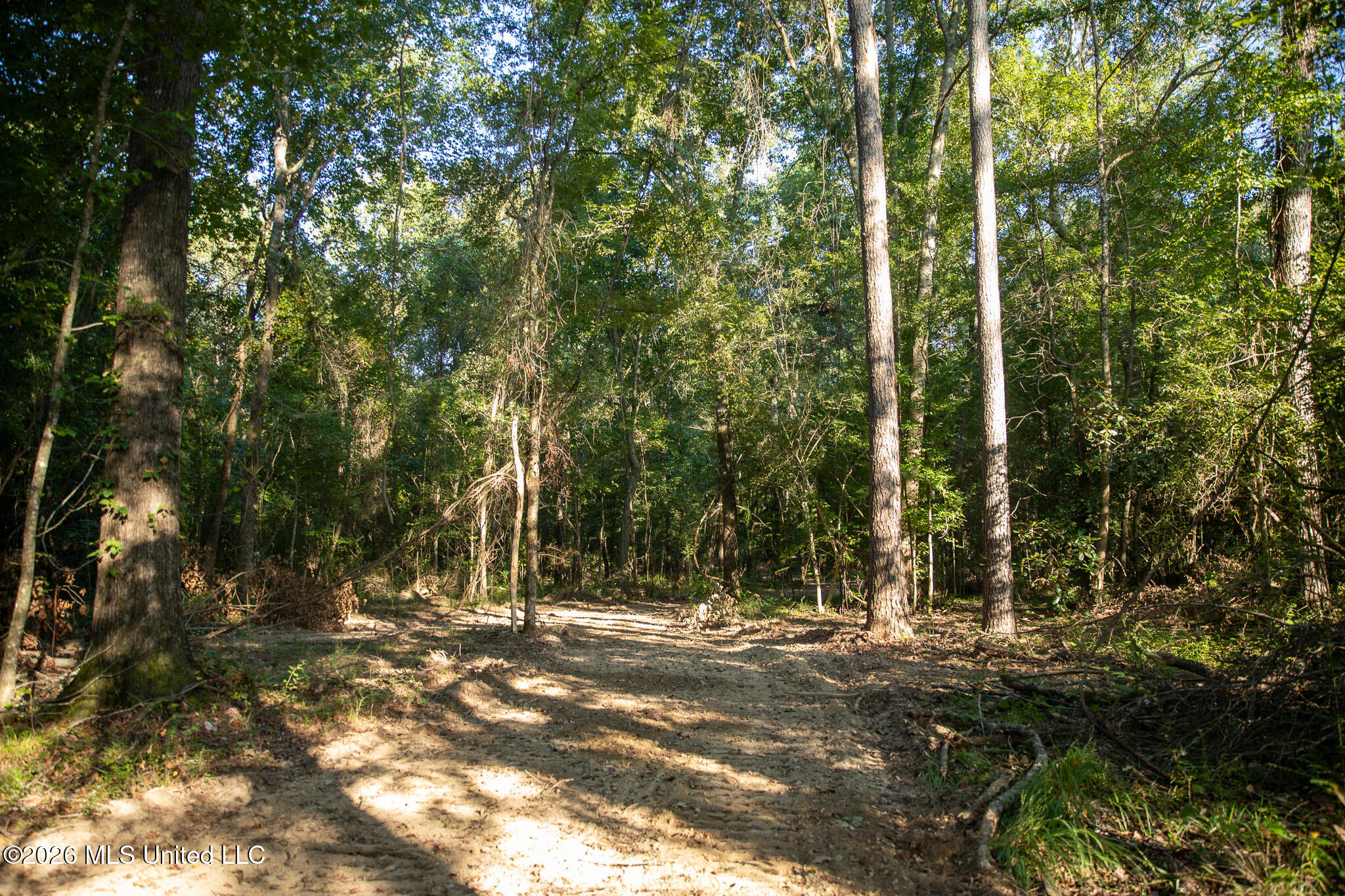 Owen Boone Road Property Photo 17