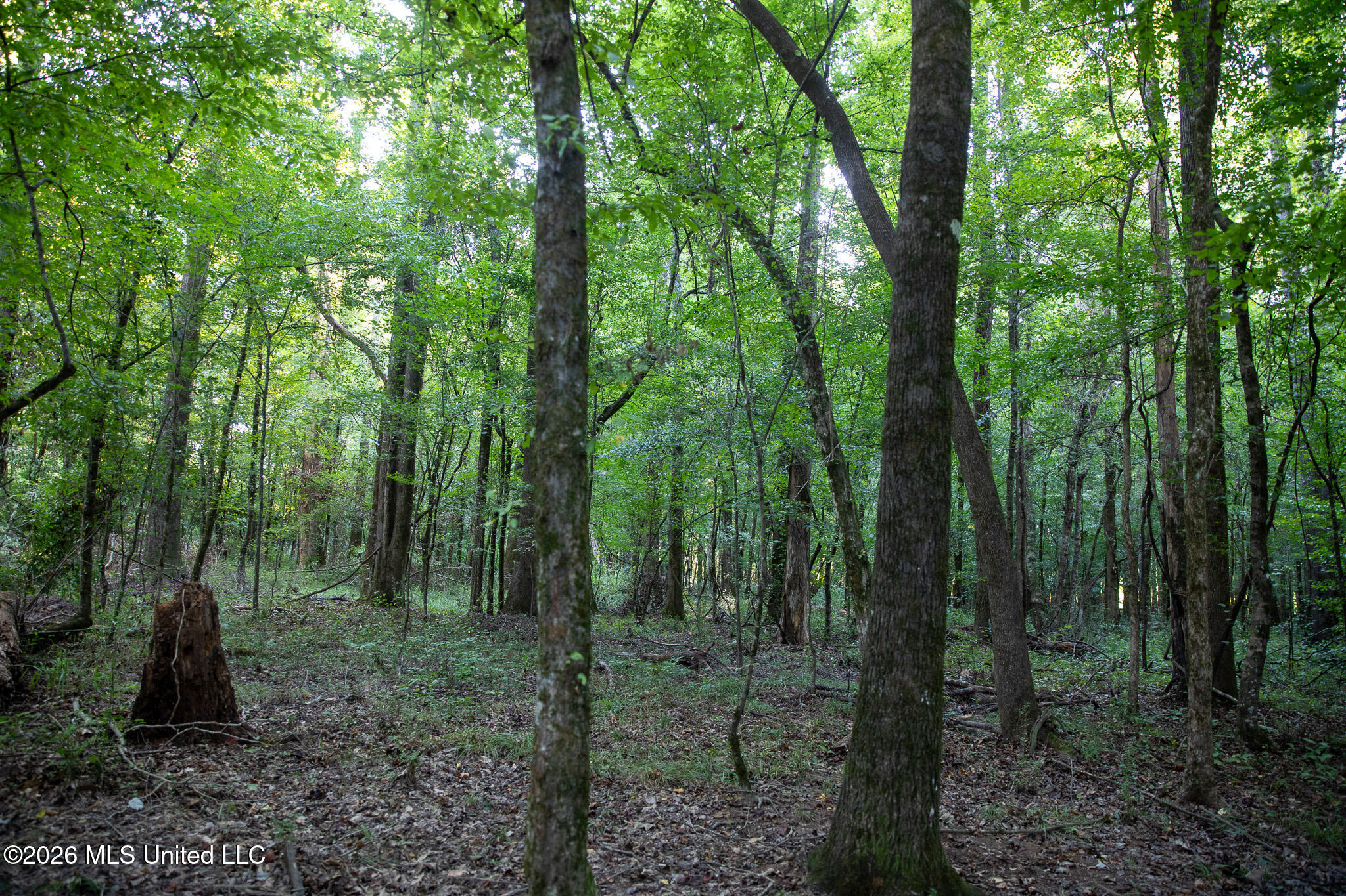 Owen Boone Road Property Photo 20