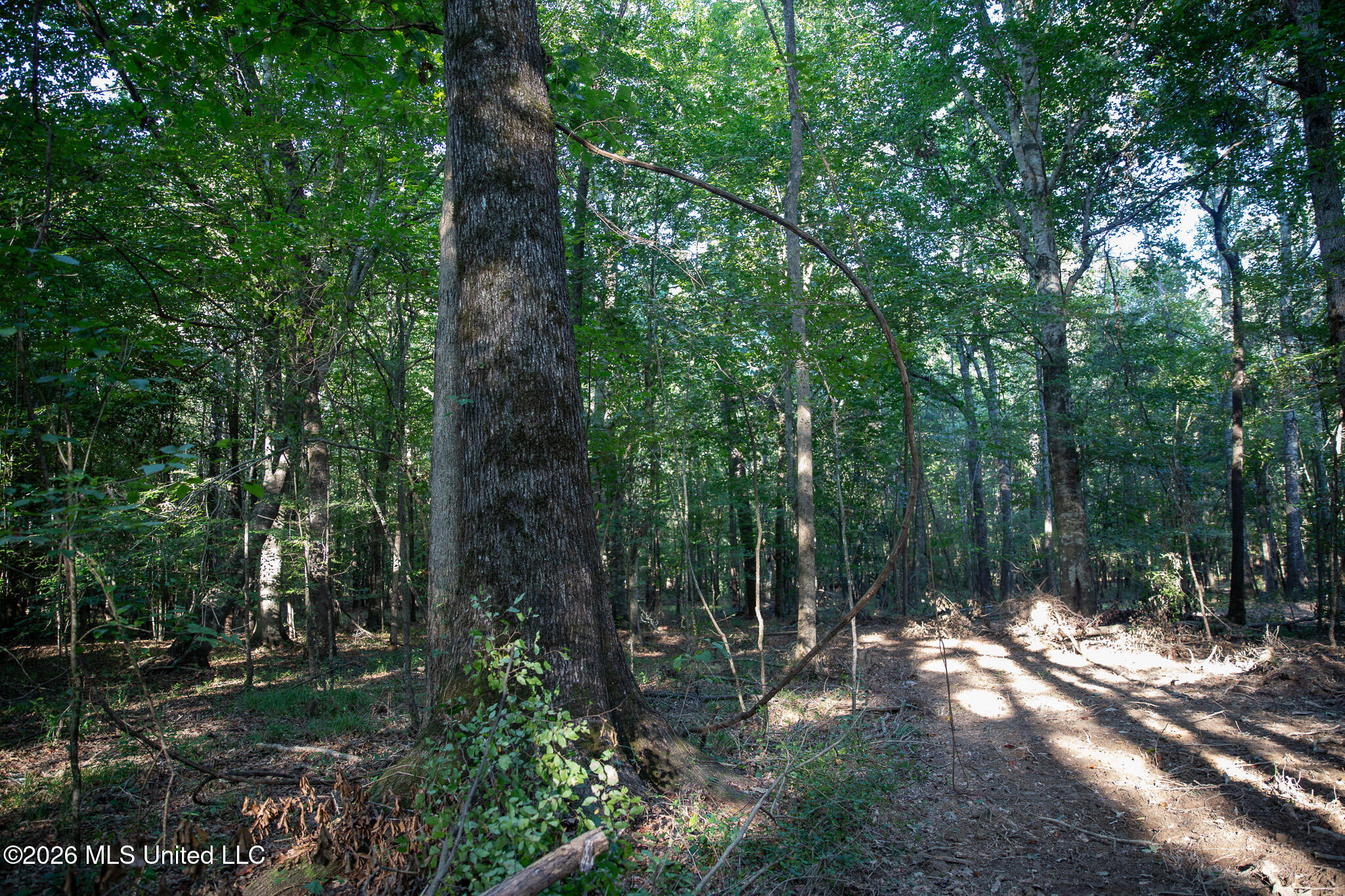Owen Boone Road Property Photo 21