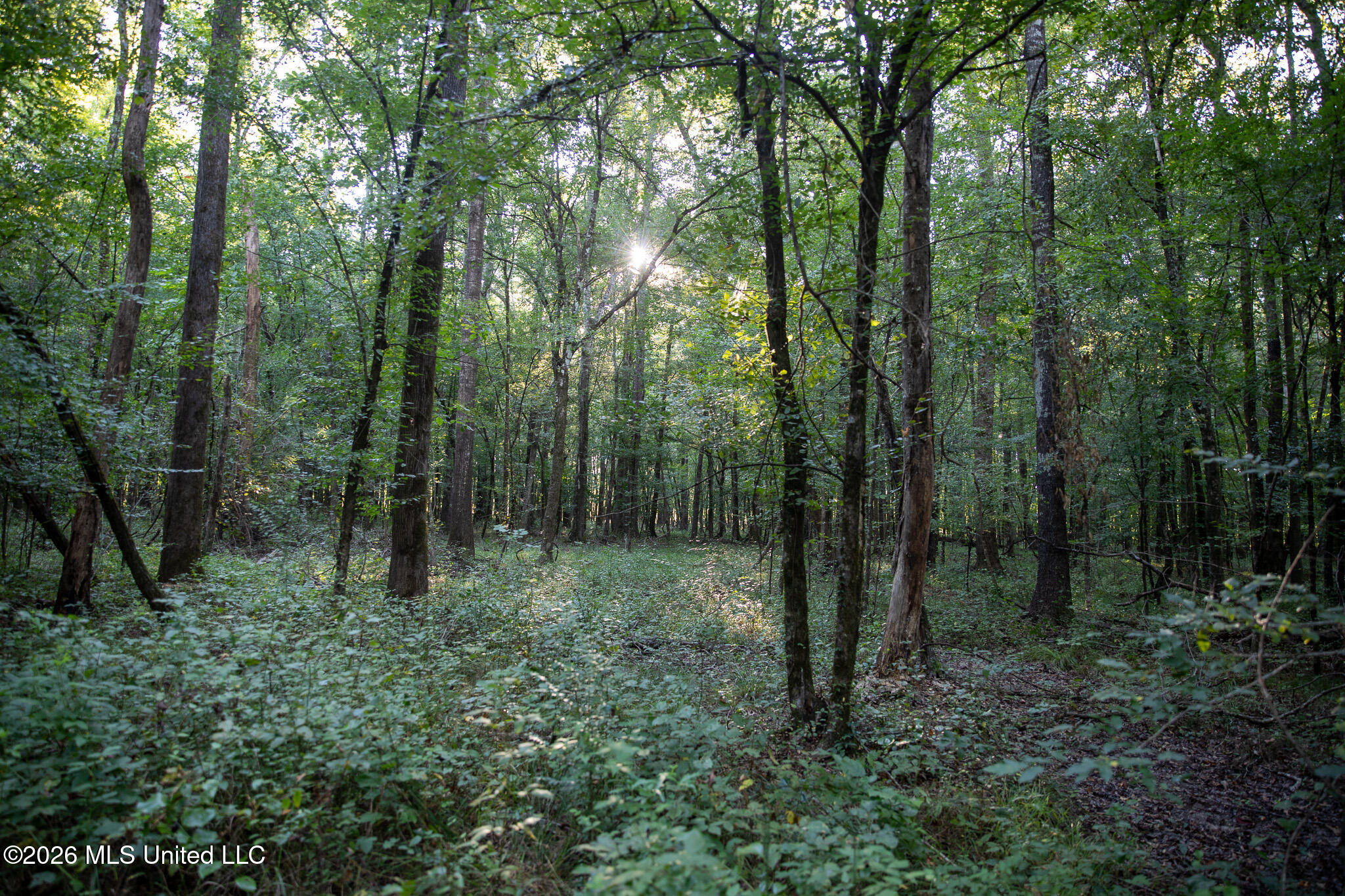 Owen Boone Road Property Photo 22