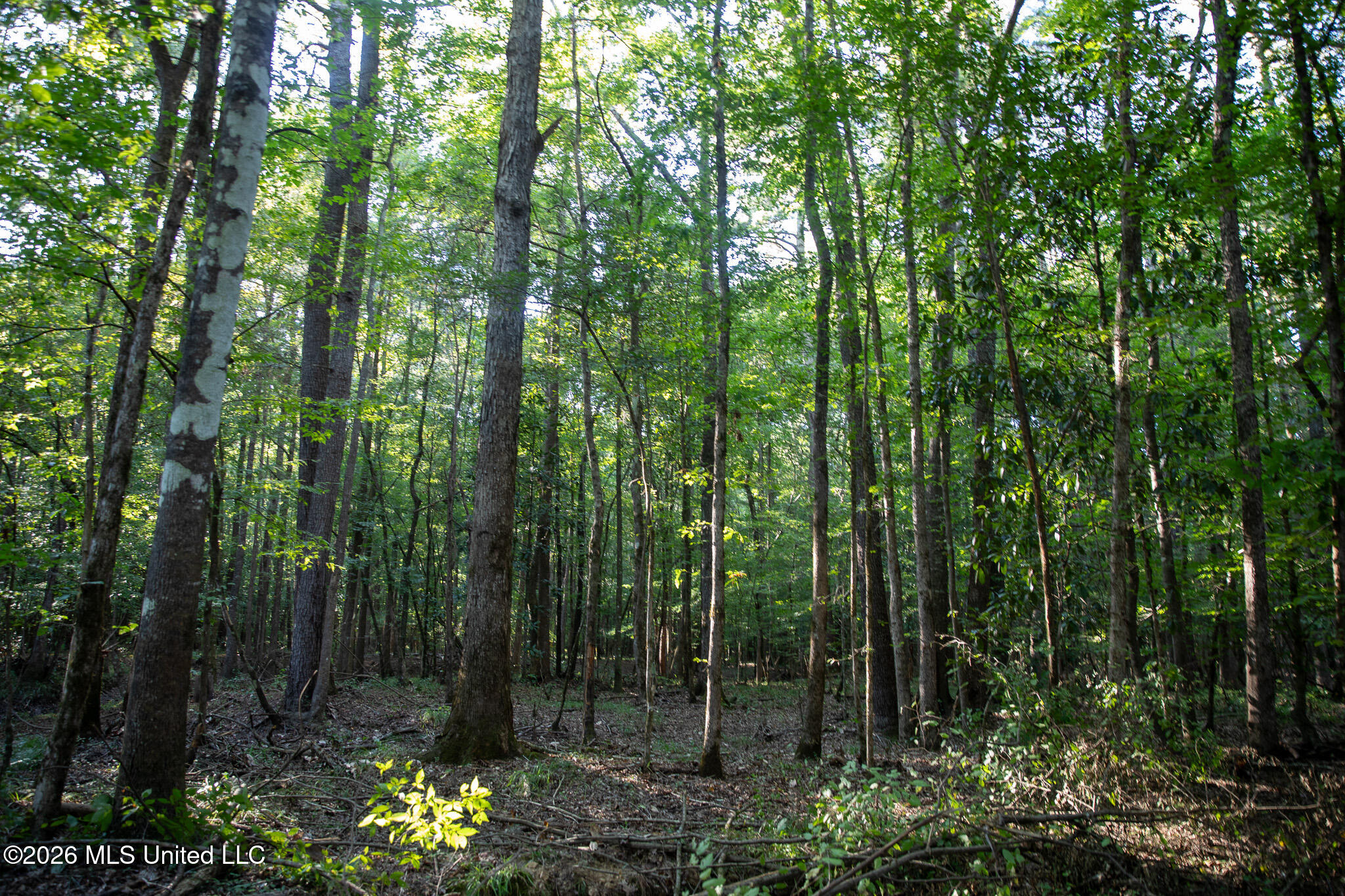 Owen Boone Road Property Photo 25