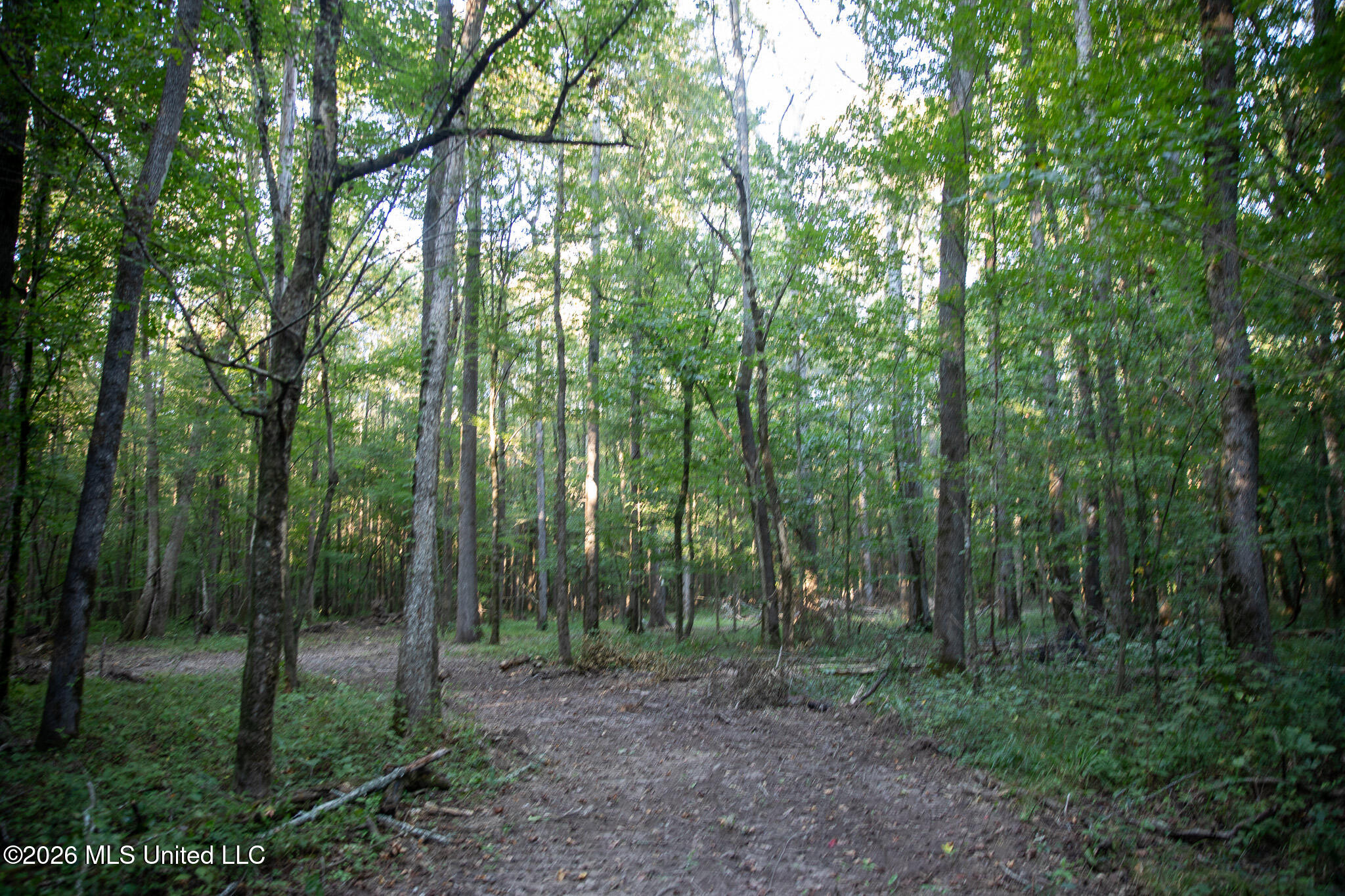 Owen Boone Road Property Photo 26