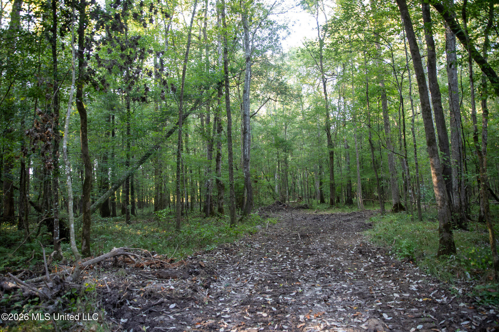 Owen Boone Road Property Photo 27