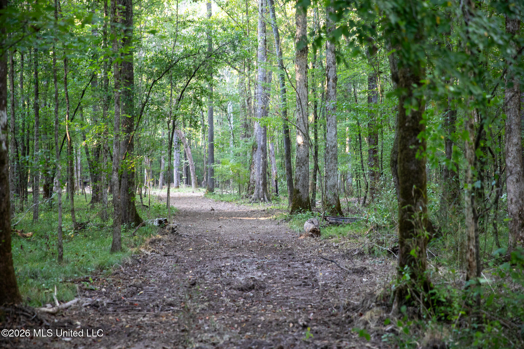 Owen Boone Road Property Photo 28