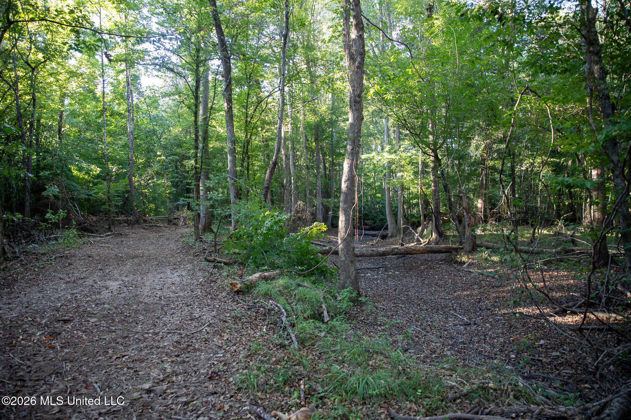Owen Boone Road Property Photo 30