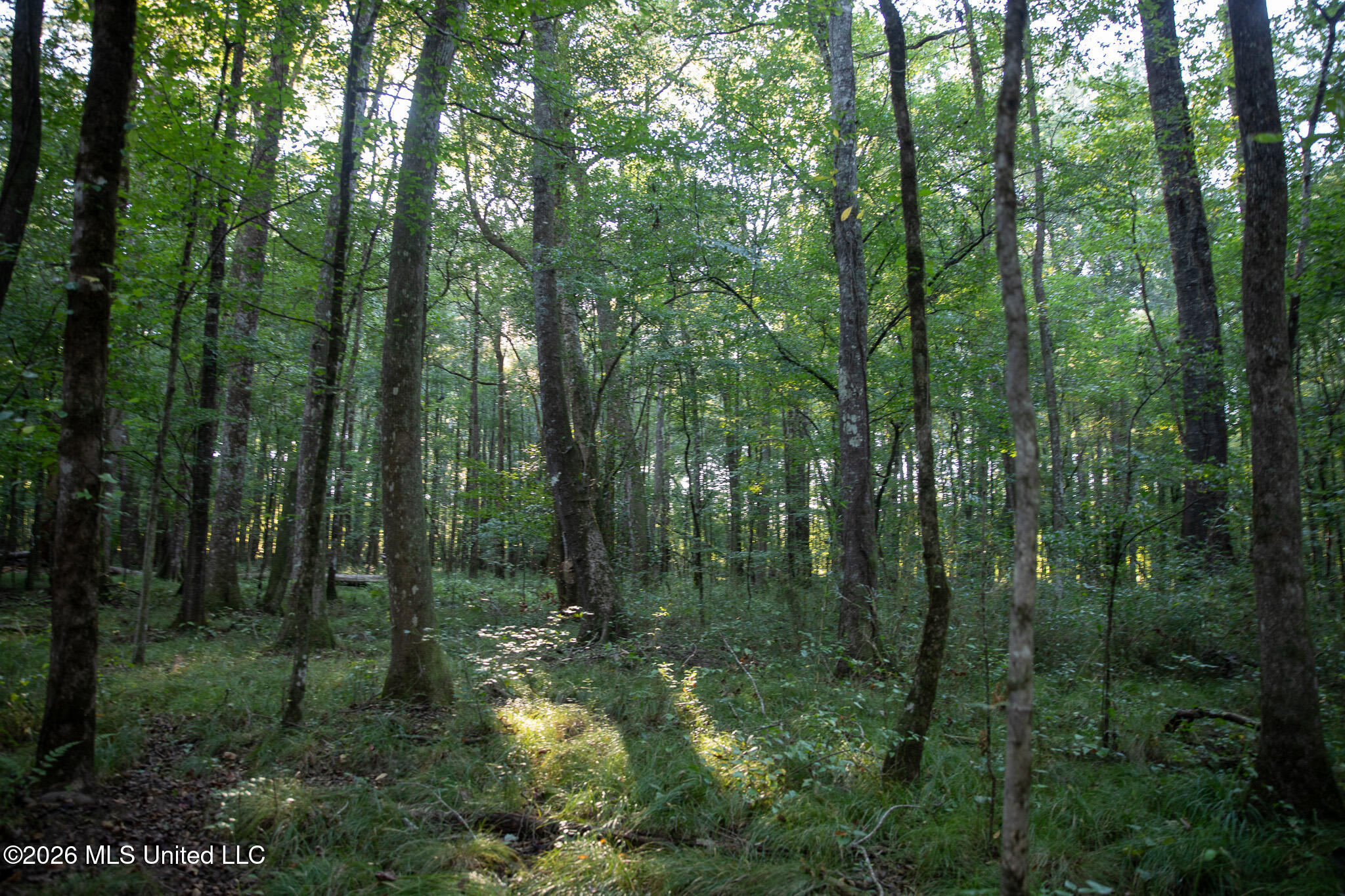 Owen Boone Road Property Photo 31