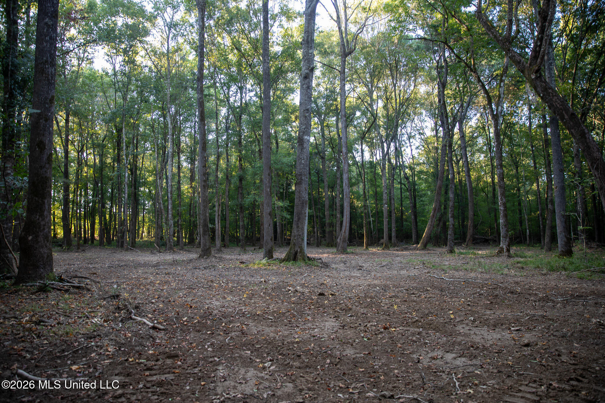 Owen Boone Road Property Photo 33