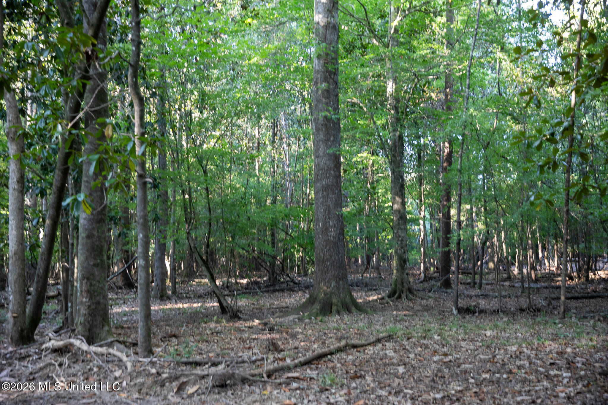 Owen Boone Road Property Photo 34