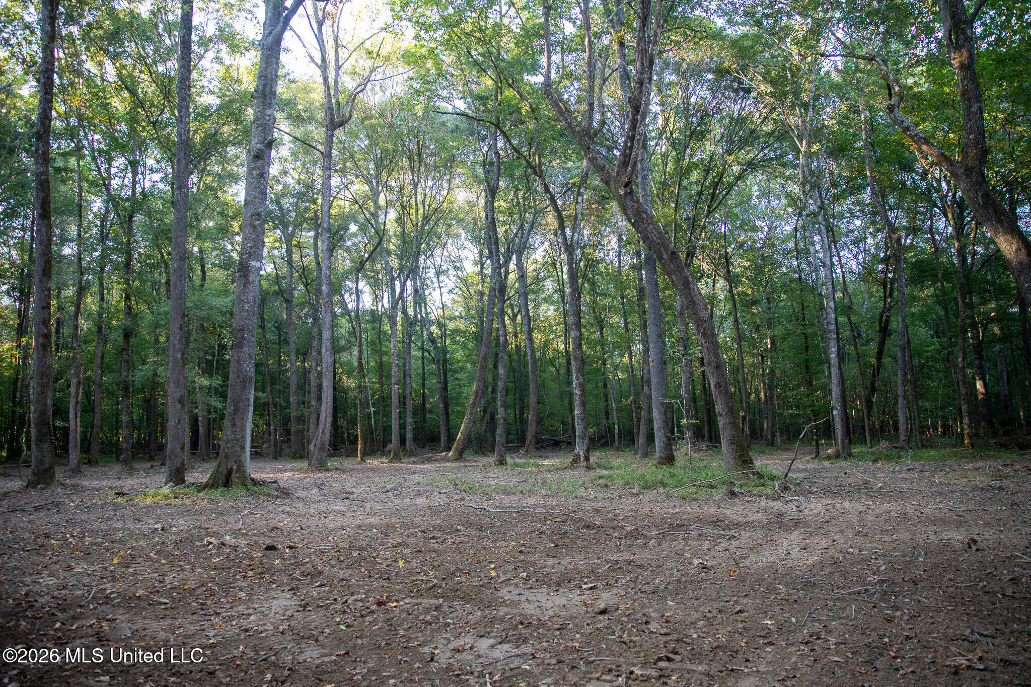Owen Boone Road Property Photo 35