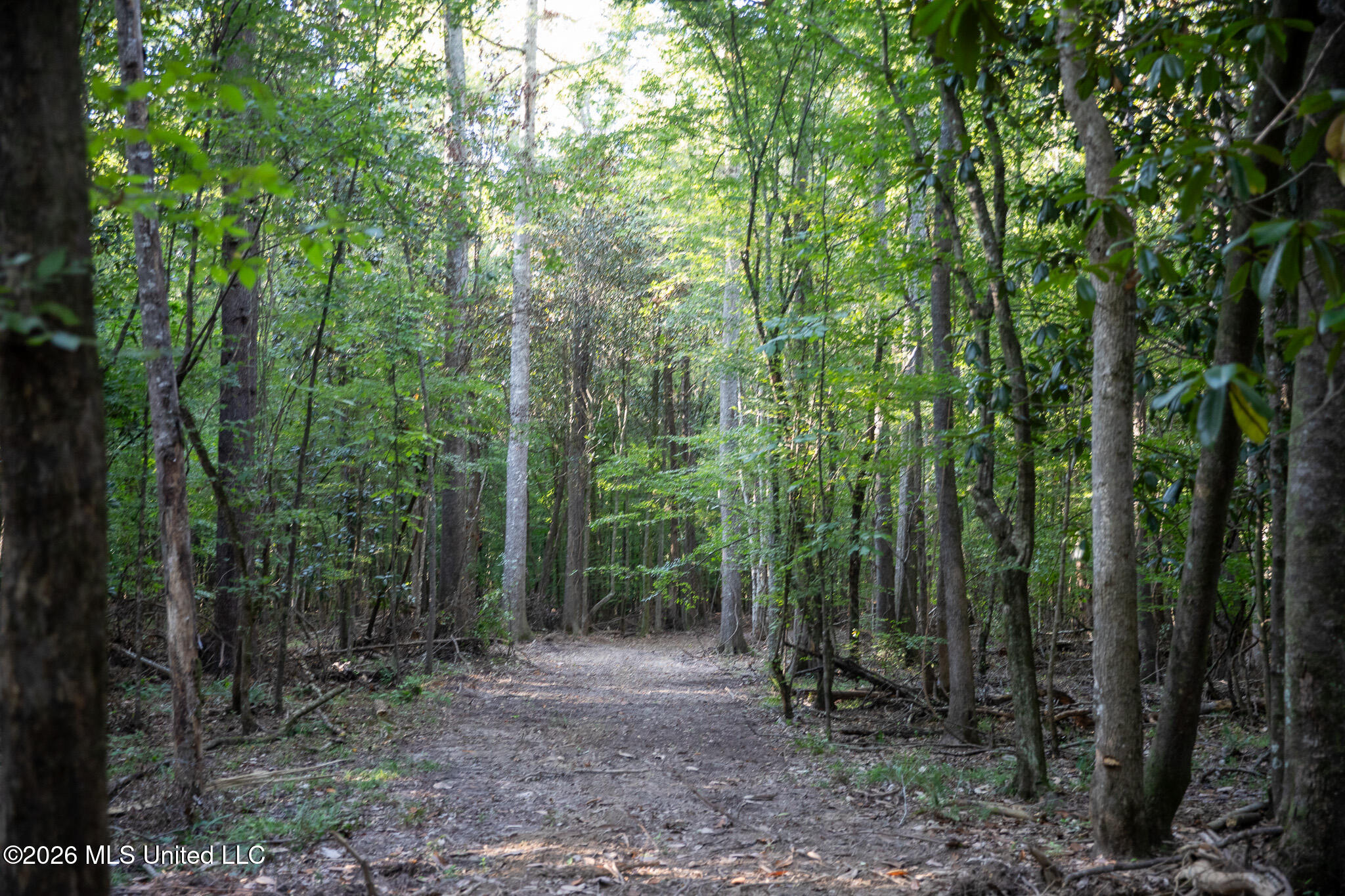 Owen Boone Road Property Photo 36