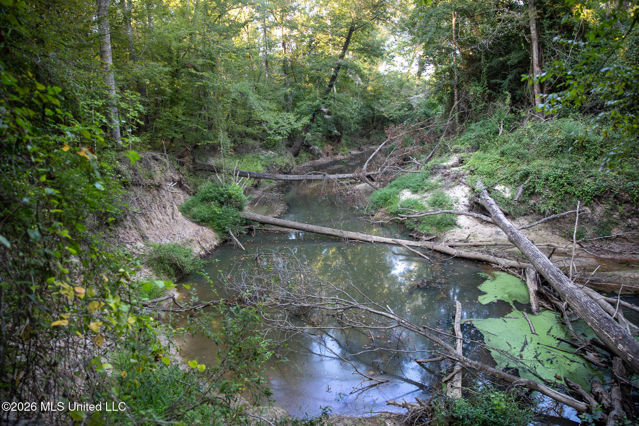 Owen Boone Road Property Photo 37