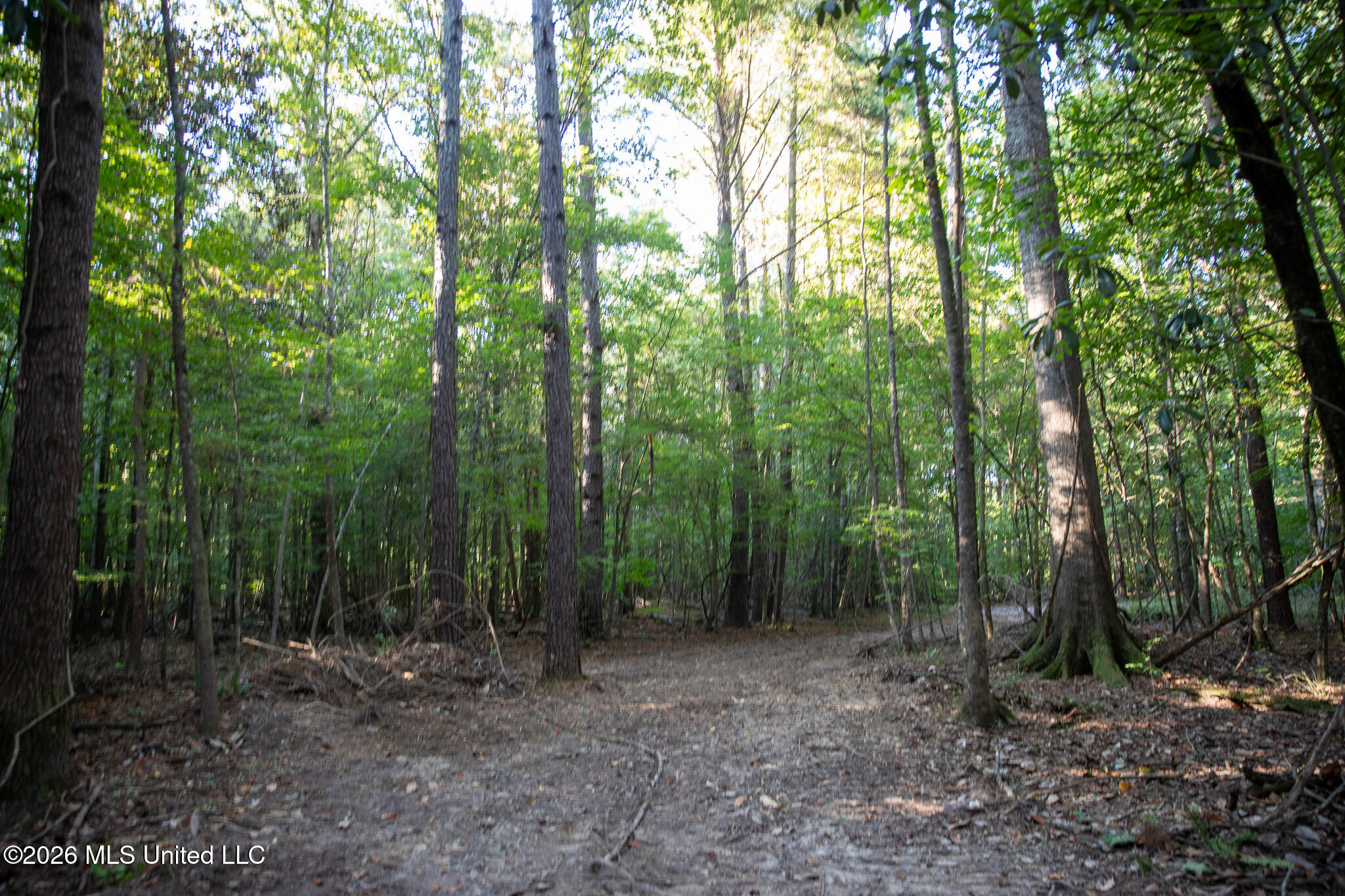 Owen Boone Road Property Photo 38