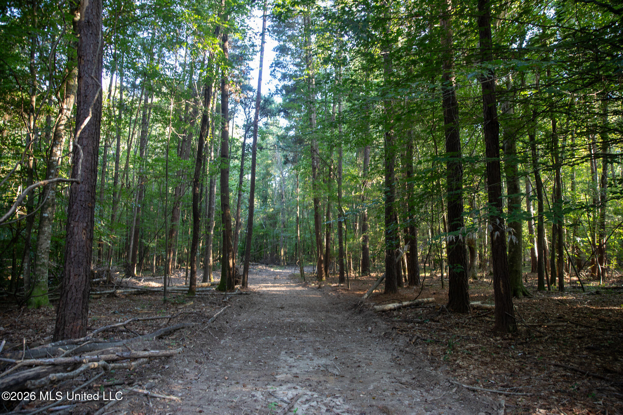 Owen Boone Road Property Photo 39