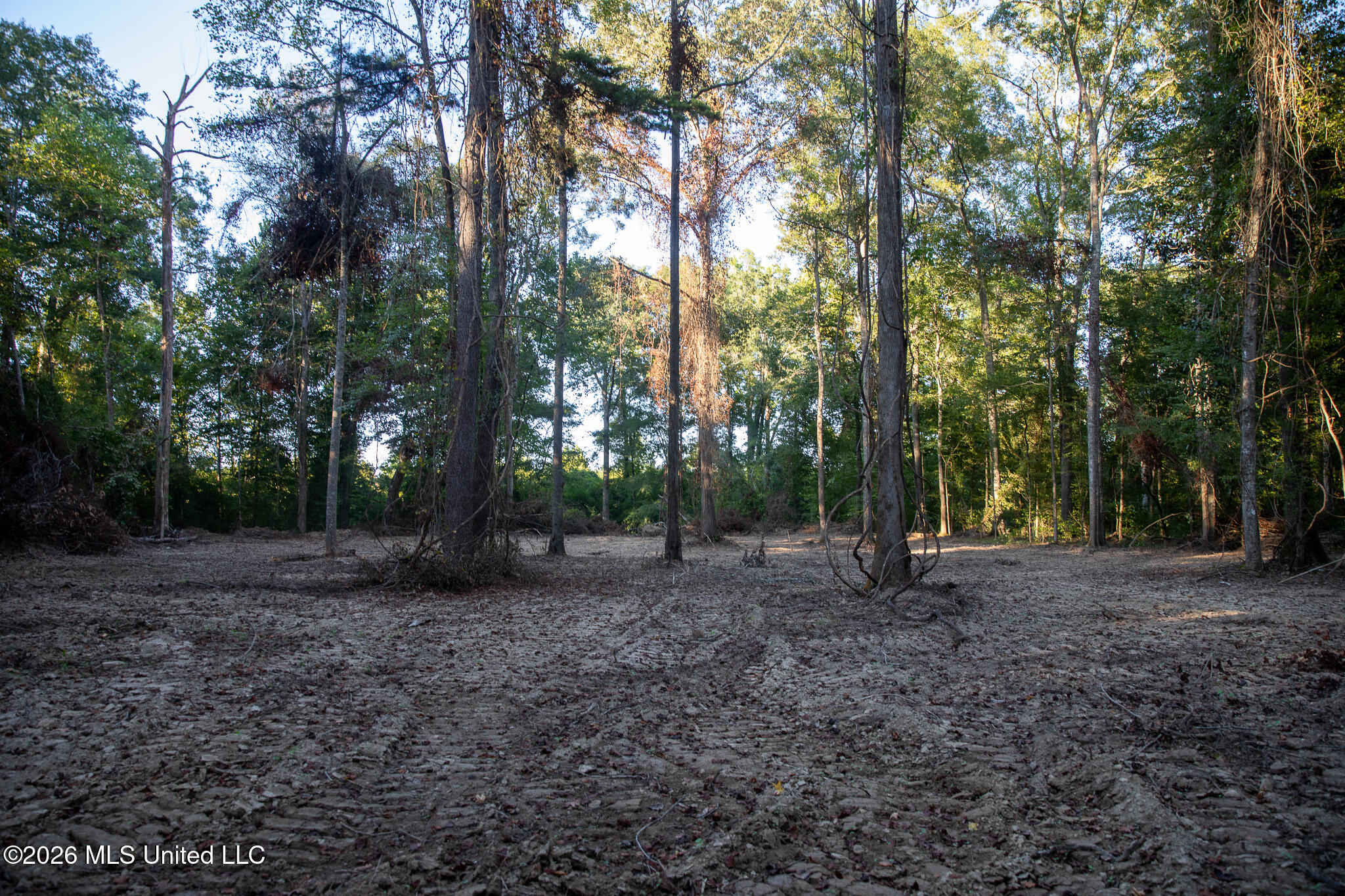 Owen Boone Road Property Photo 40