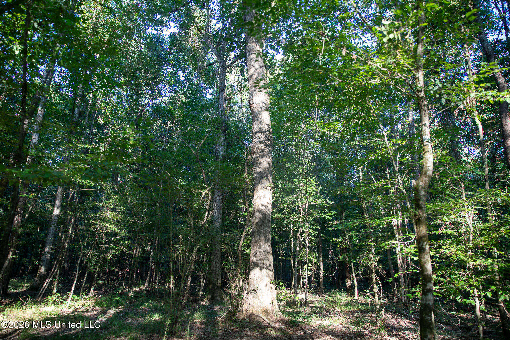 Owen Boone Road Property Photo 41