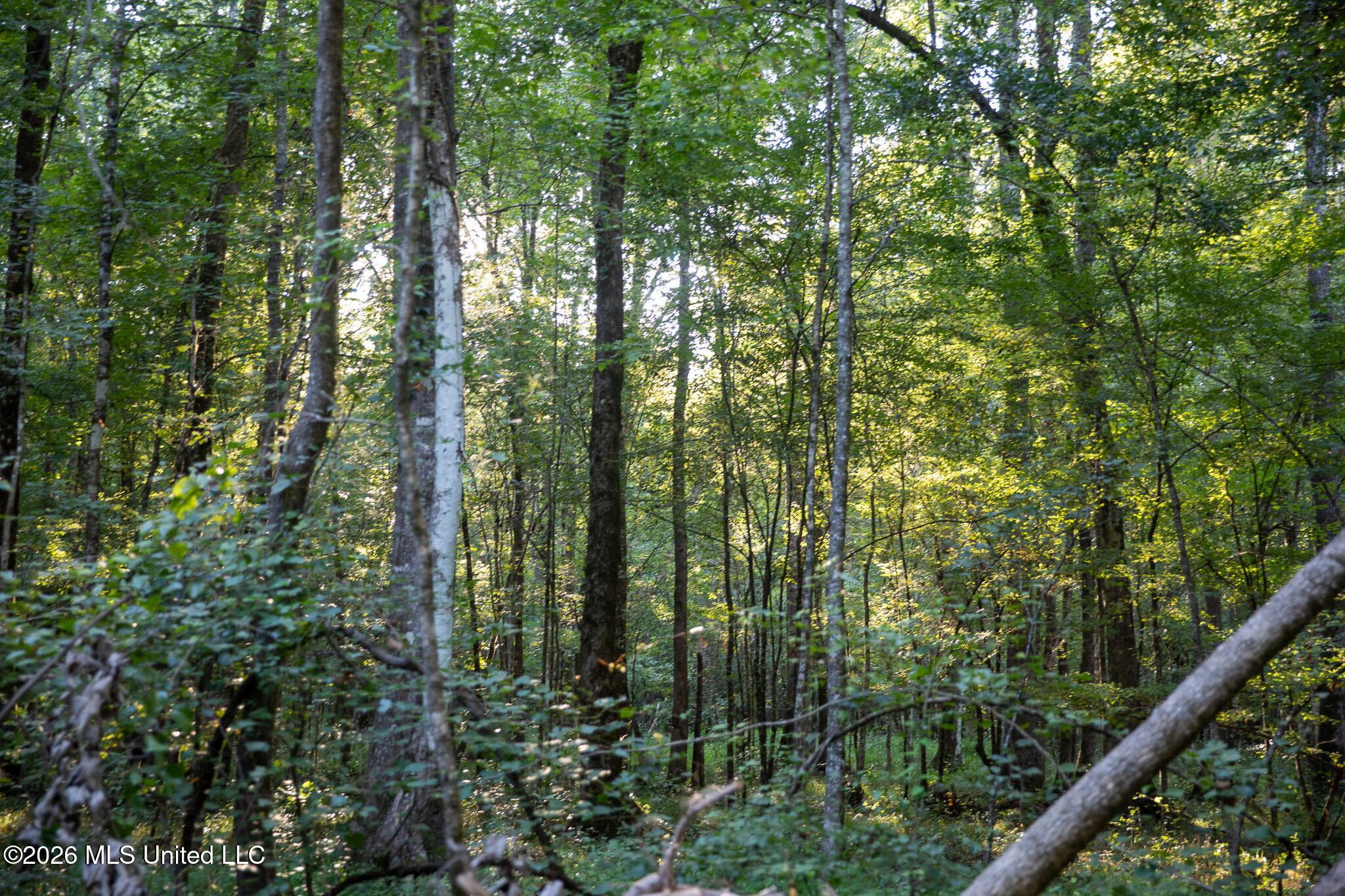 Owen Boone Road Property Photo 42