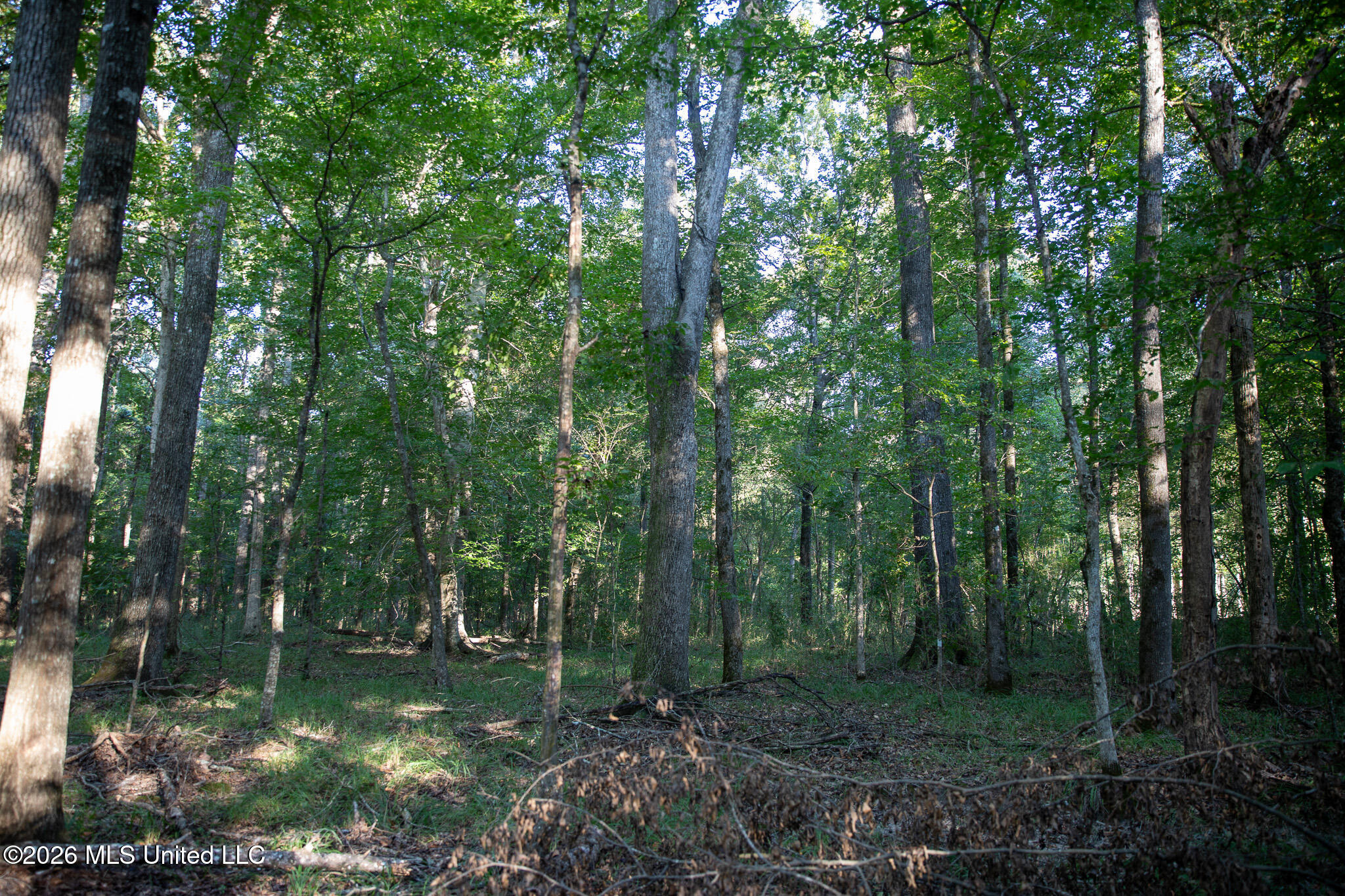 Owen Boone Road Property Photo 43