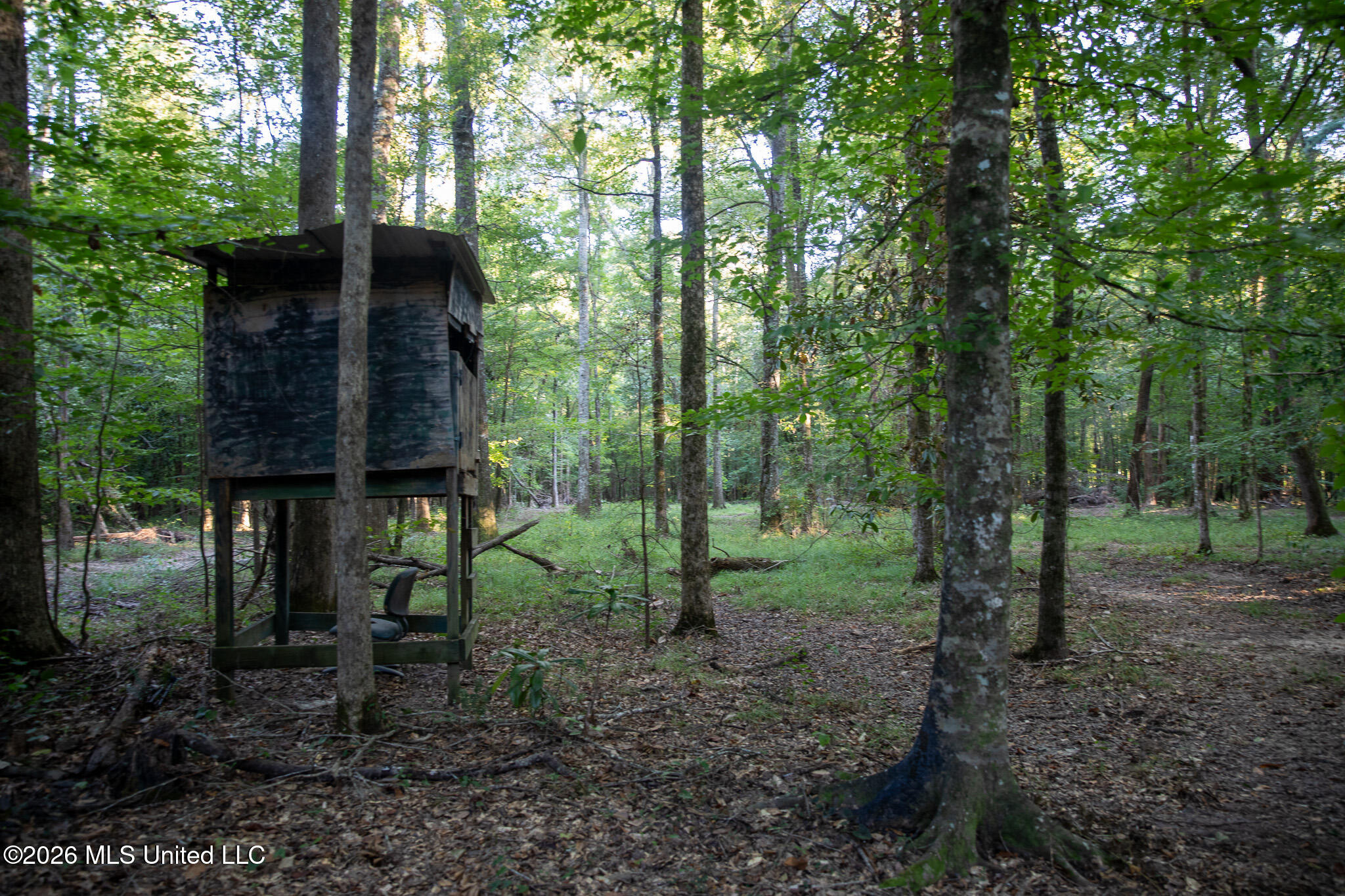 Owen Boone Road Property Photo 44