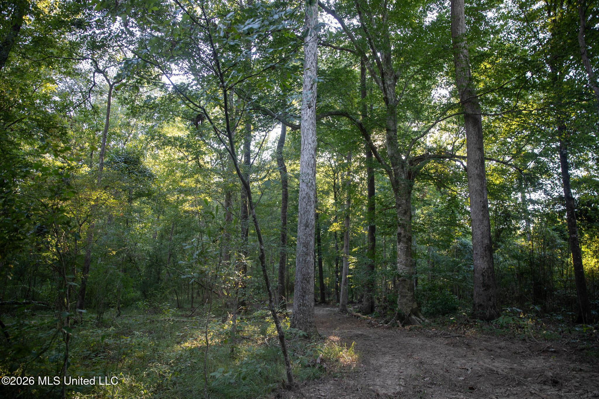 Owen Boone Road Property Photo 46