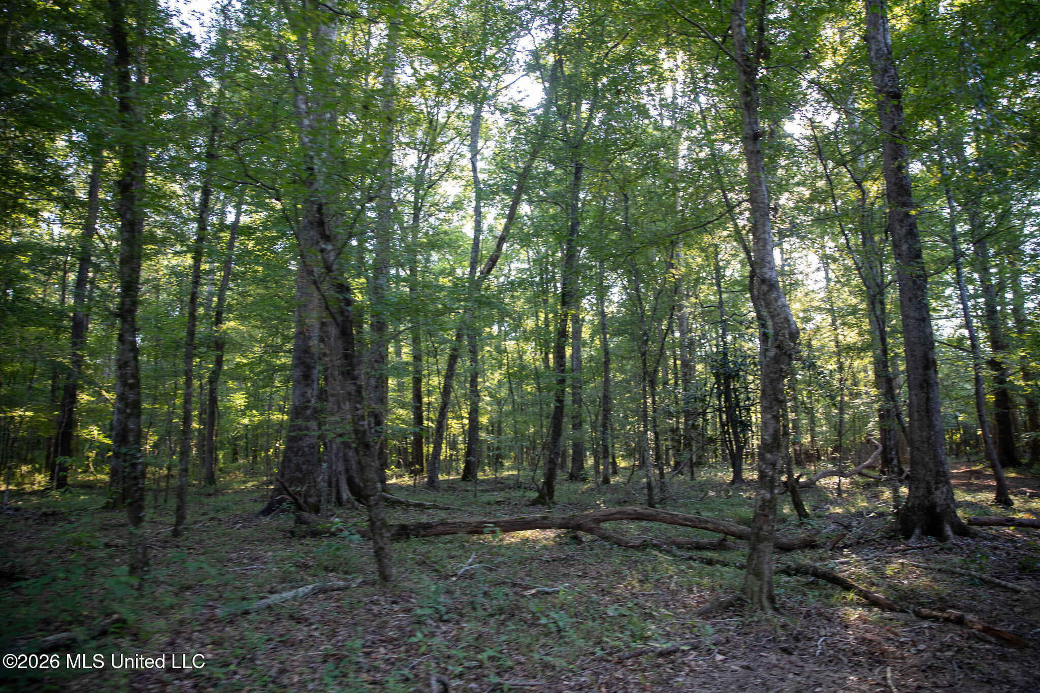 Owen Boone Road Property Photo 47