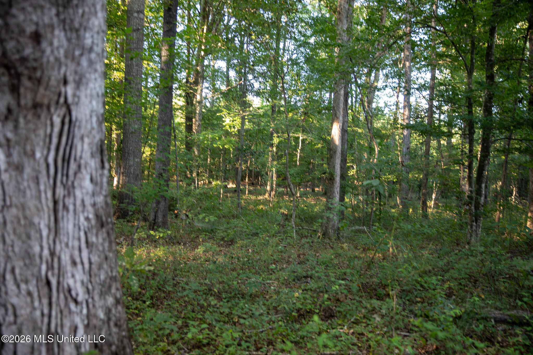 Owen Boone Road Property Photo 48
