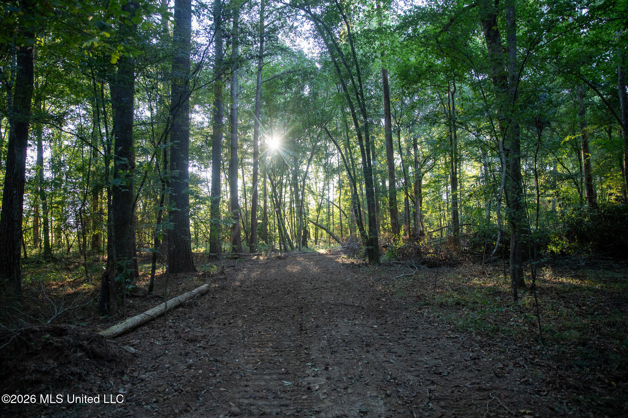 Owen Boone Road Property Photo 50