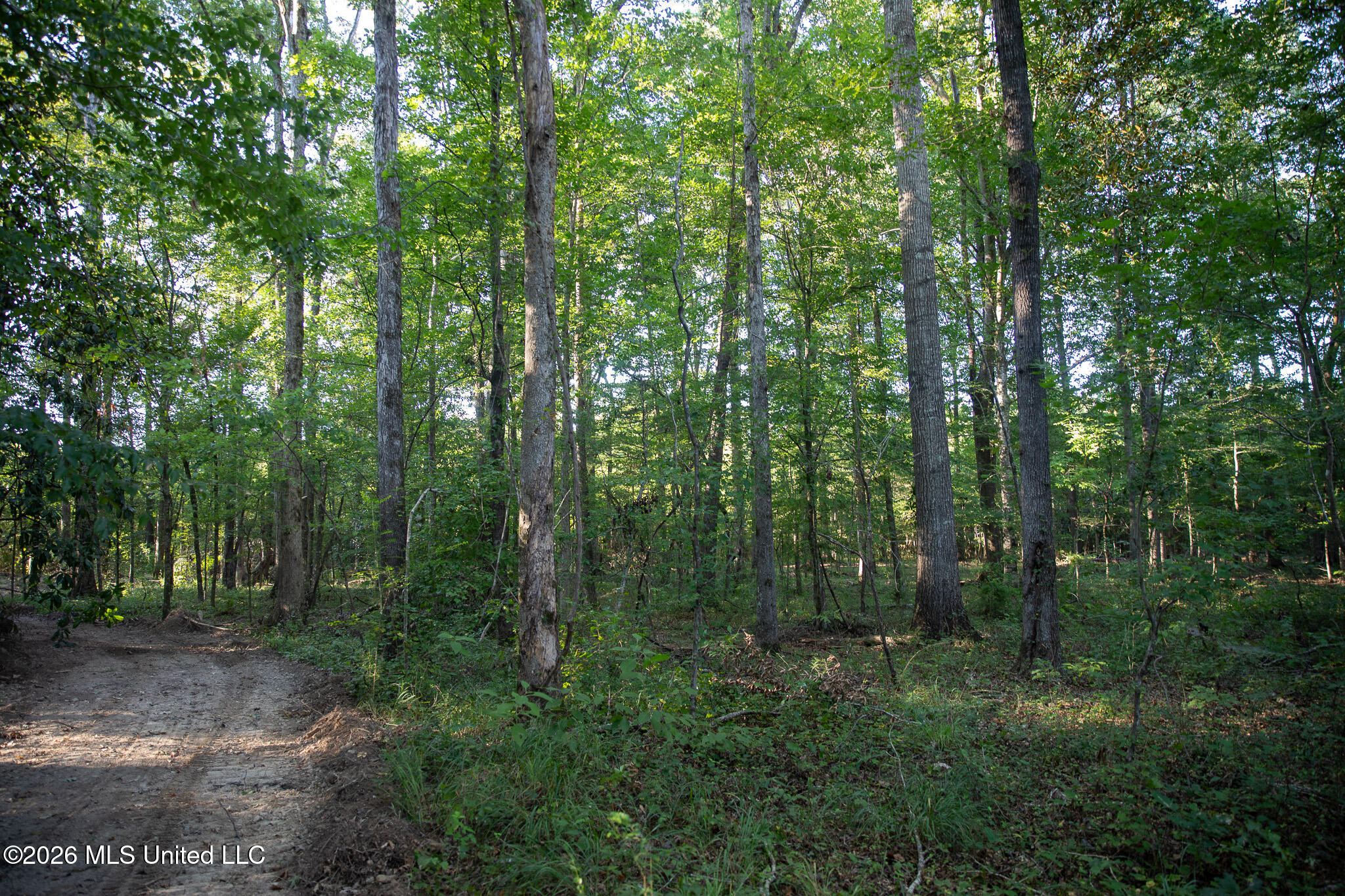 Owen Boone Road Property Photo 51