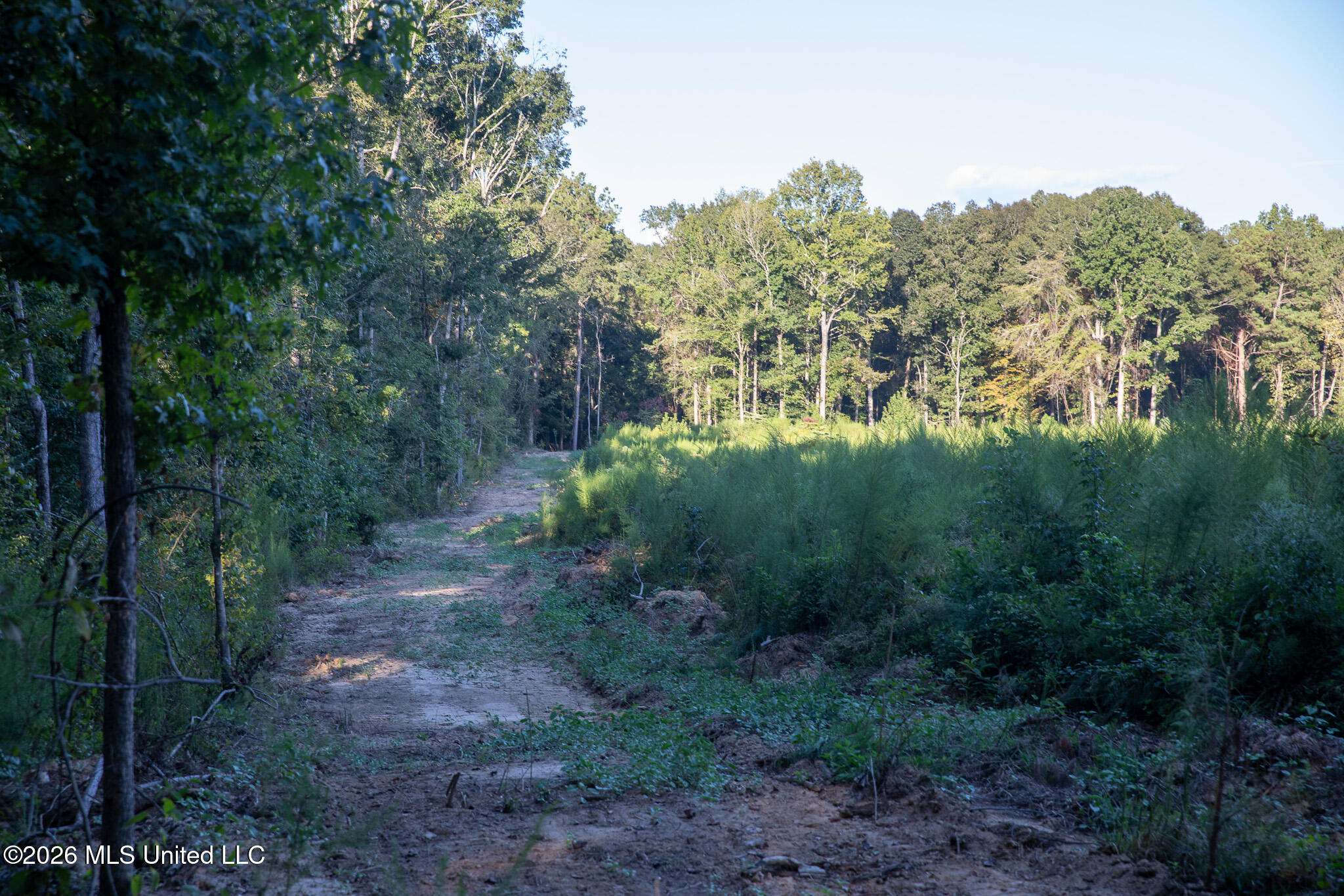 Owen Boone Road Property Photo 52