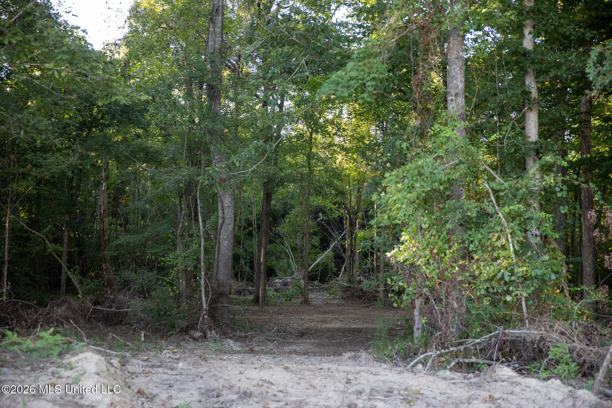 Owen Boone Road Property Photo 58