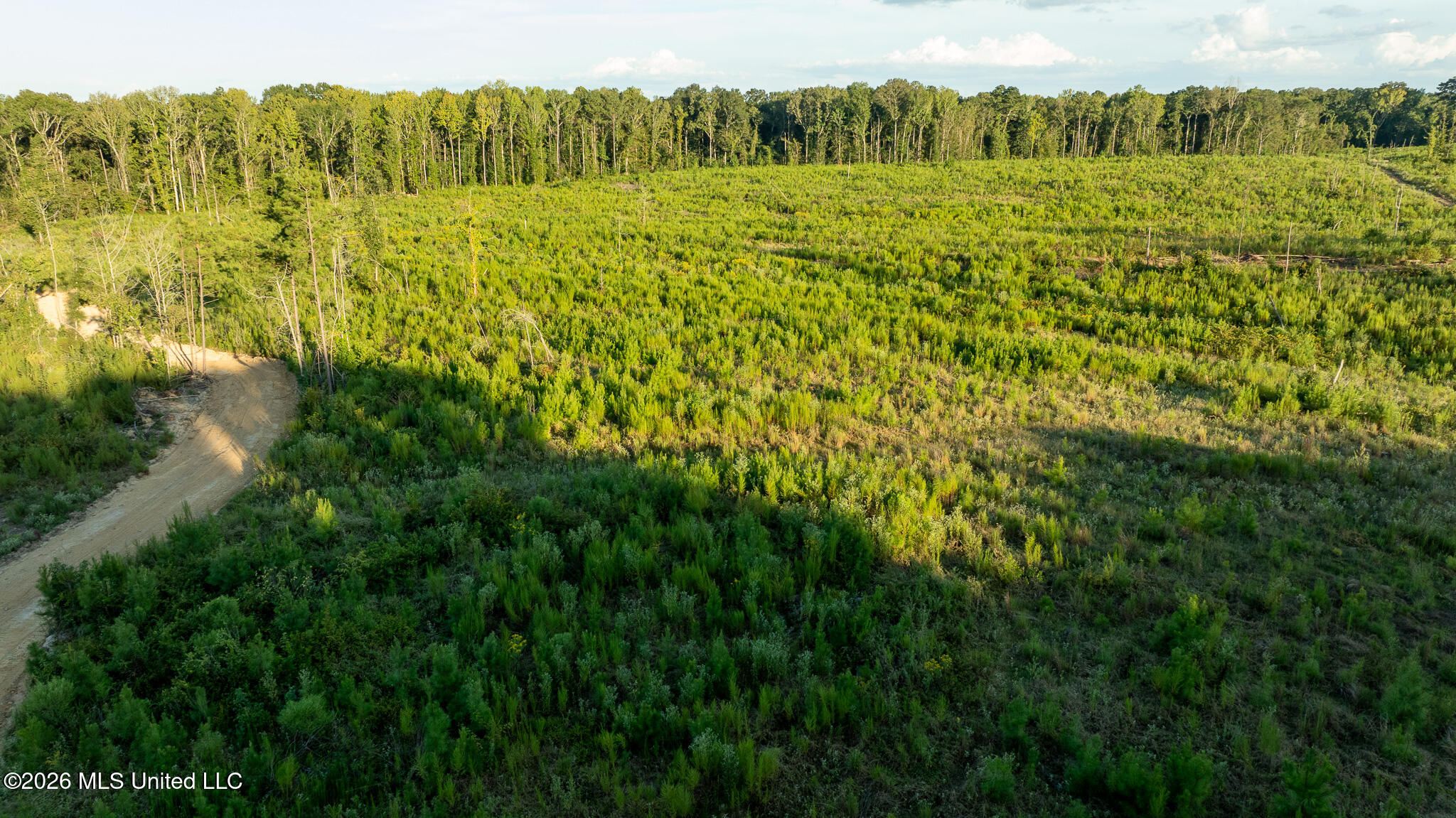 Owen Boone Road Property Photo 60