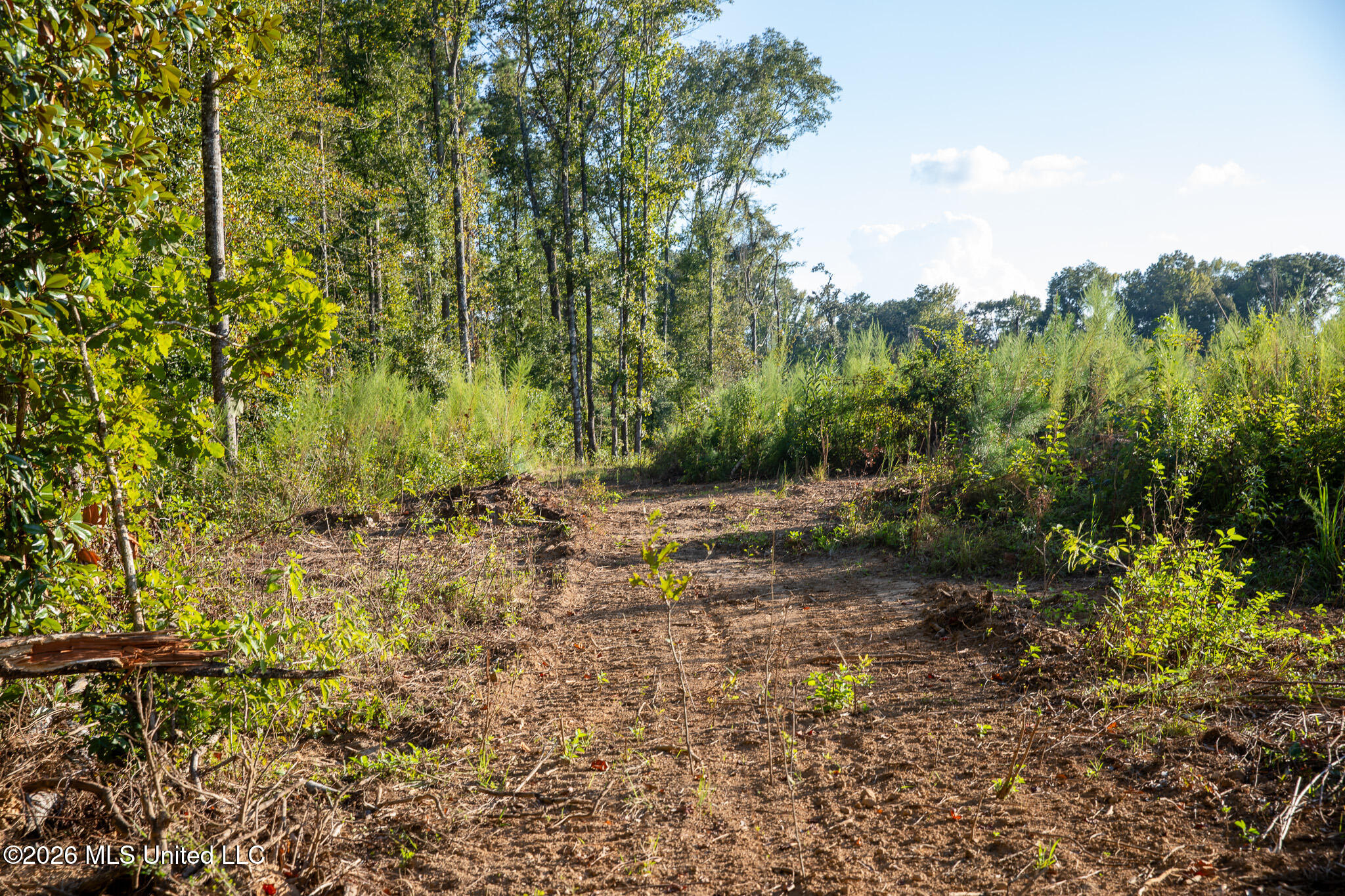Owen Boone Road Property Photo 62