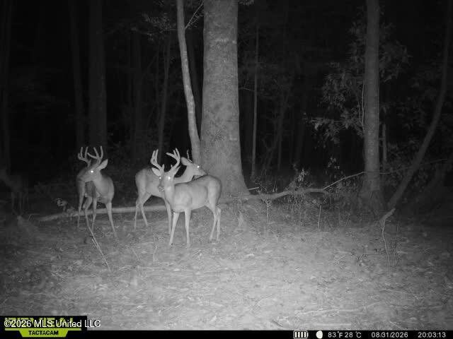 Owen Boone Road Property Photo 65