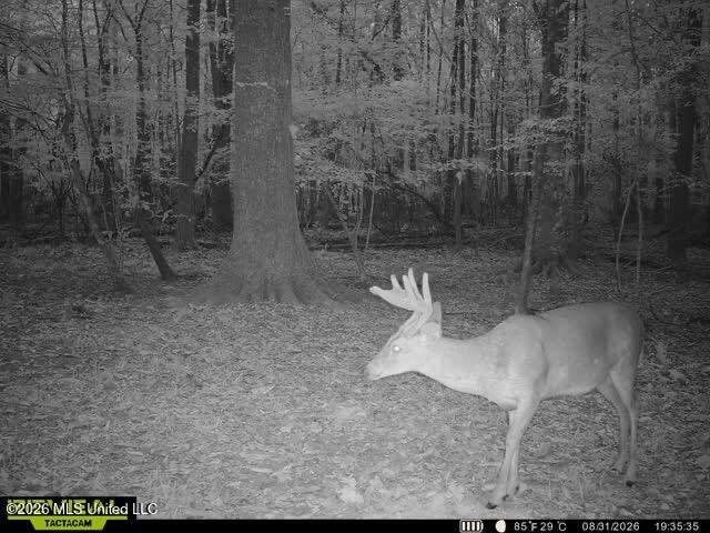 Owen Boone Road Property Photo 67