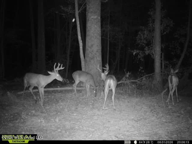 Owen Boone Road Property Photo 68