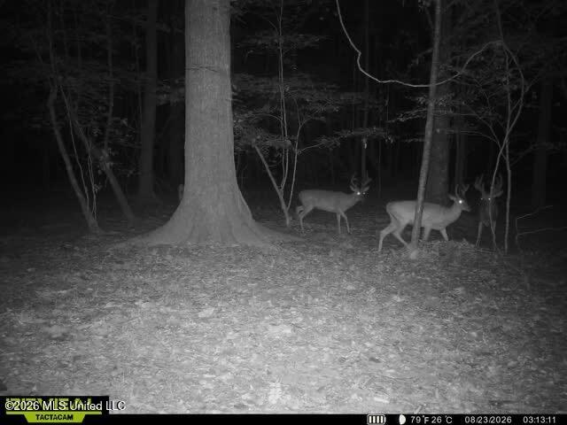 Owen Boone Road Property Photo 69
