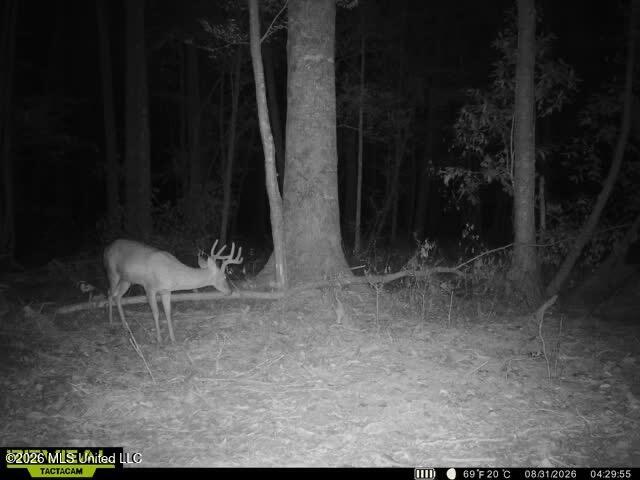 Owen Boone Road Property Photo 70