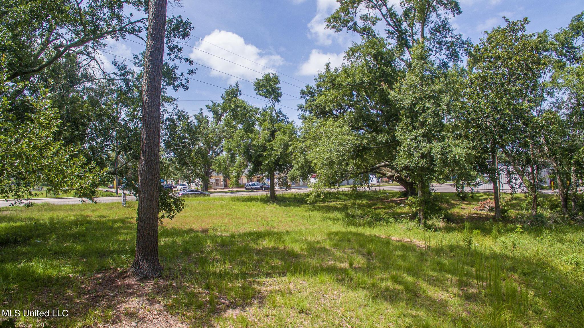 1017 Pine Street Property Photo 2