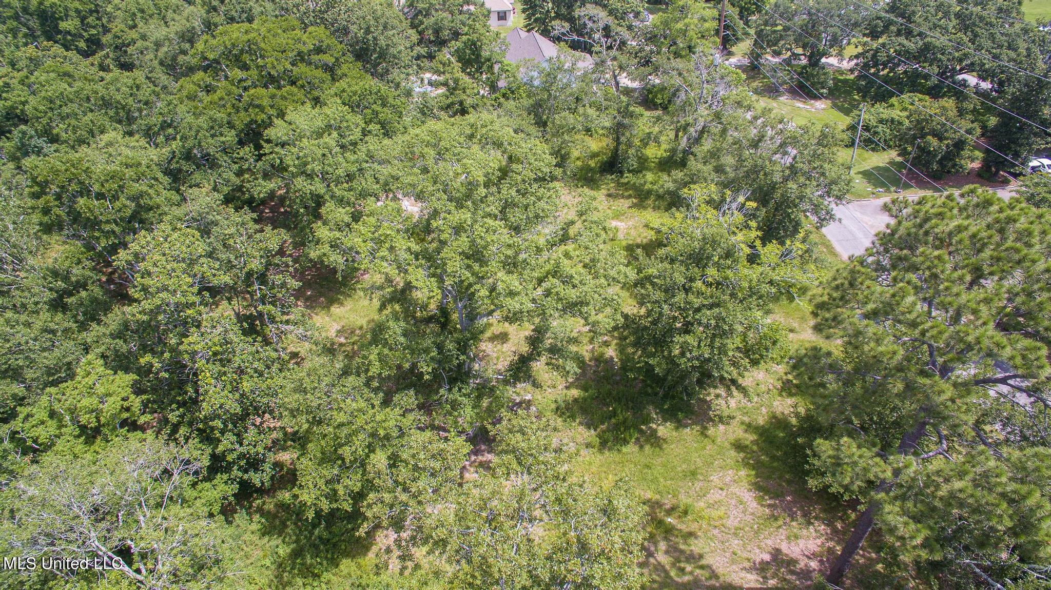 1017 Pine Street Property Photo 3