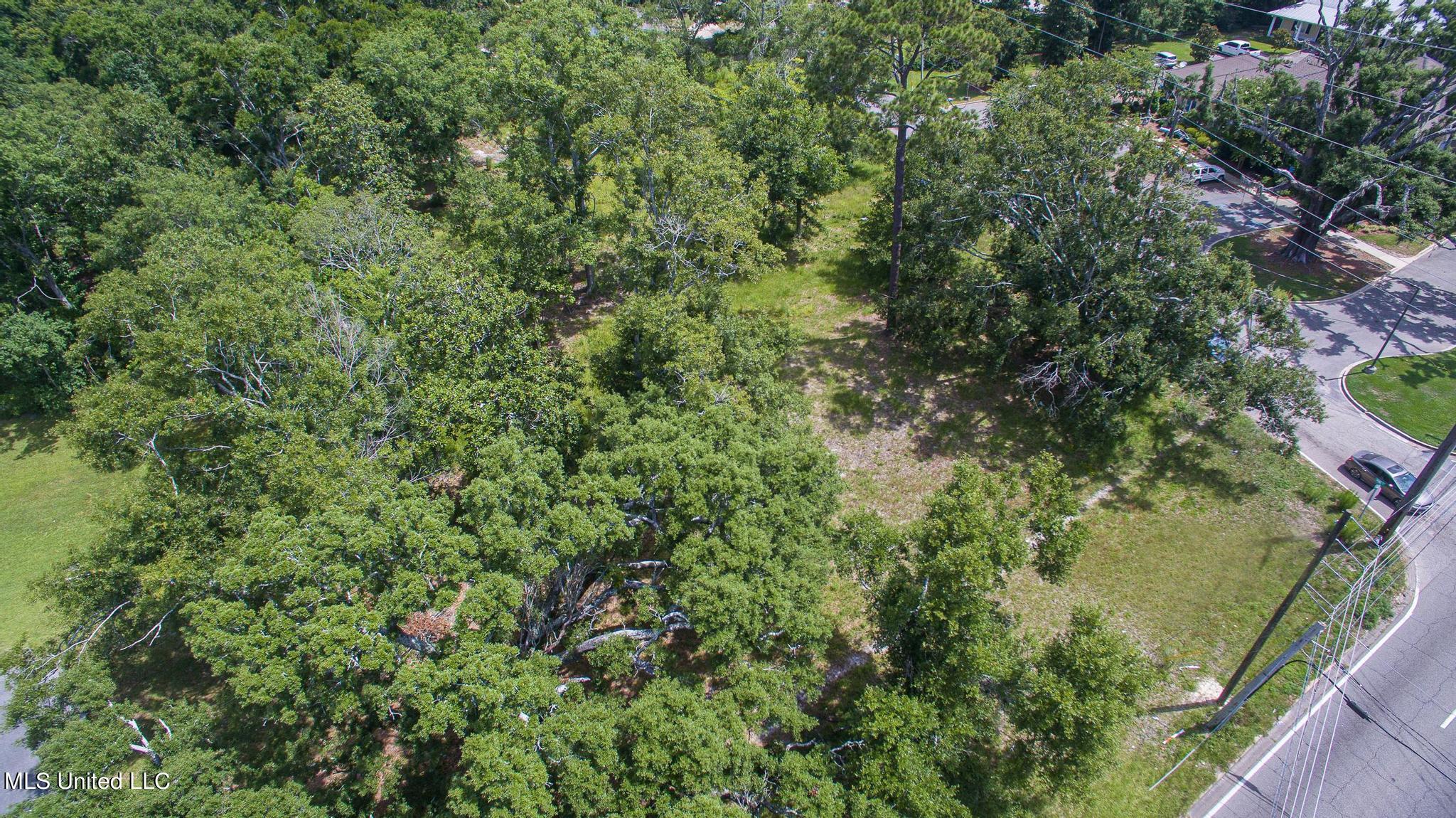 1017 Pine Street Property Photo 4