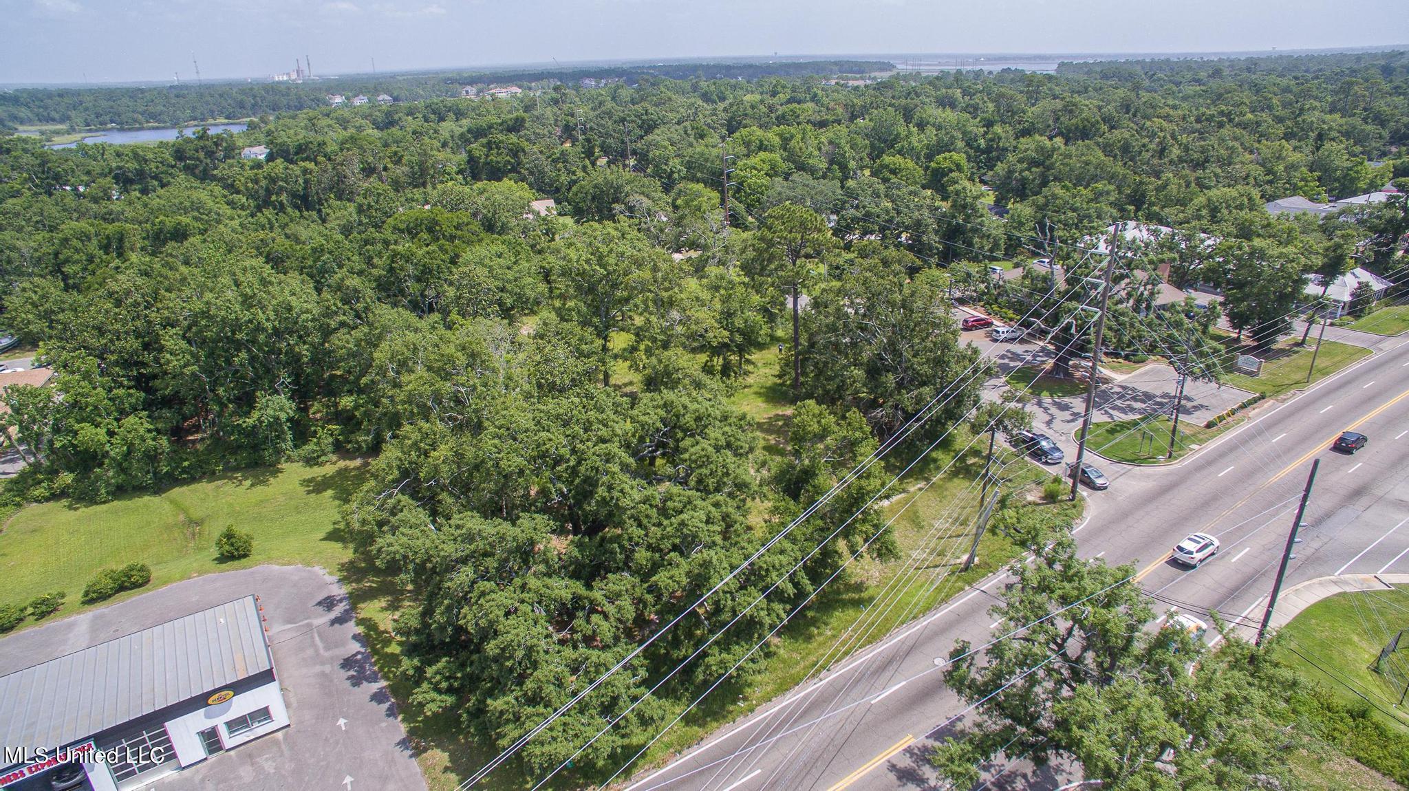 1017 Pine Street Property Photo 6