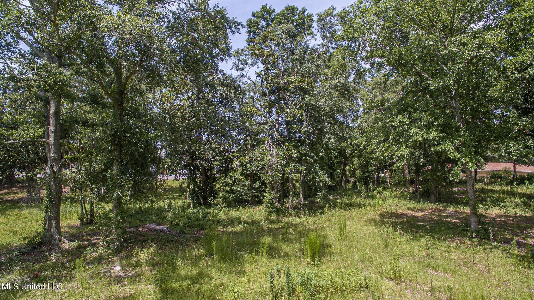 1017 Pine Street Property Photo 12