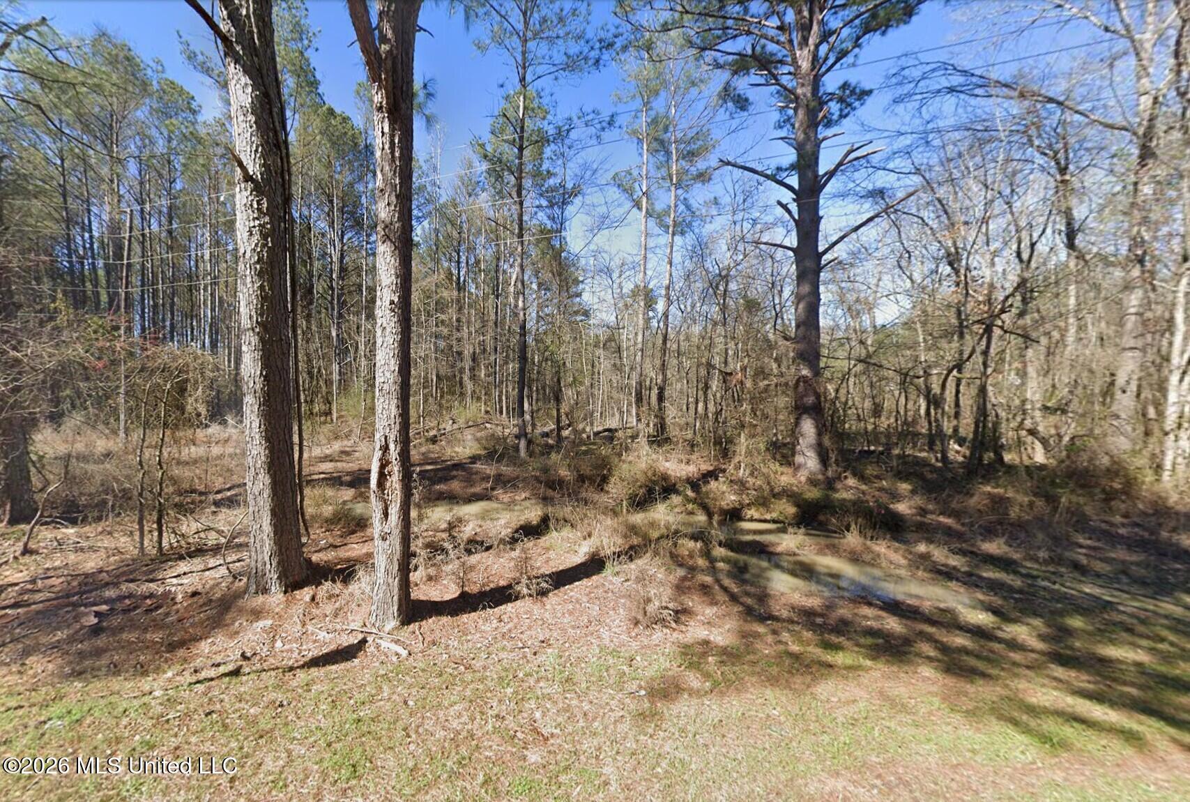 136 Mclin Lane Property Photo 2