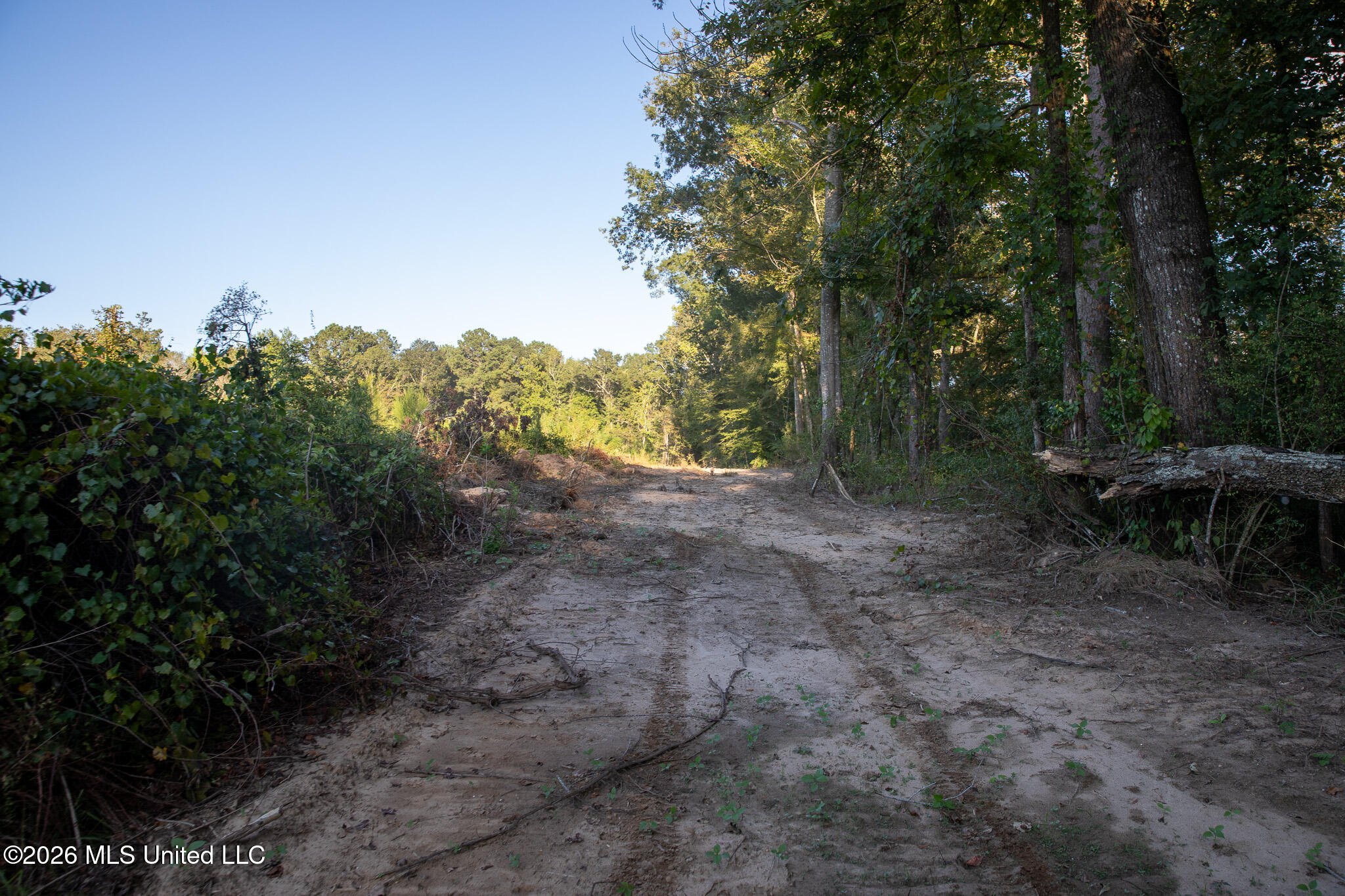 Owen Boone Rd Property Photo 11