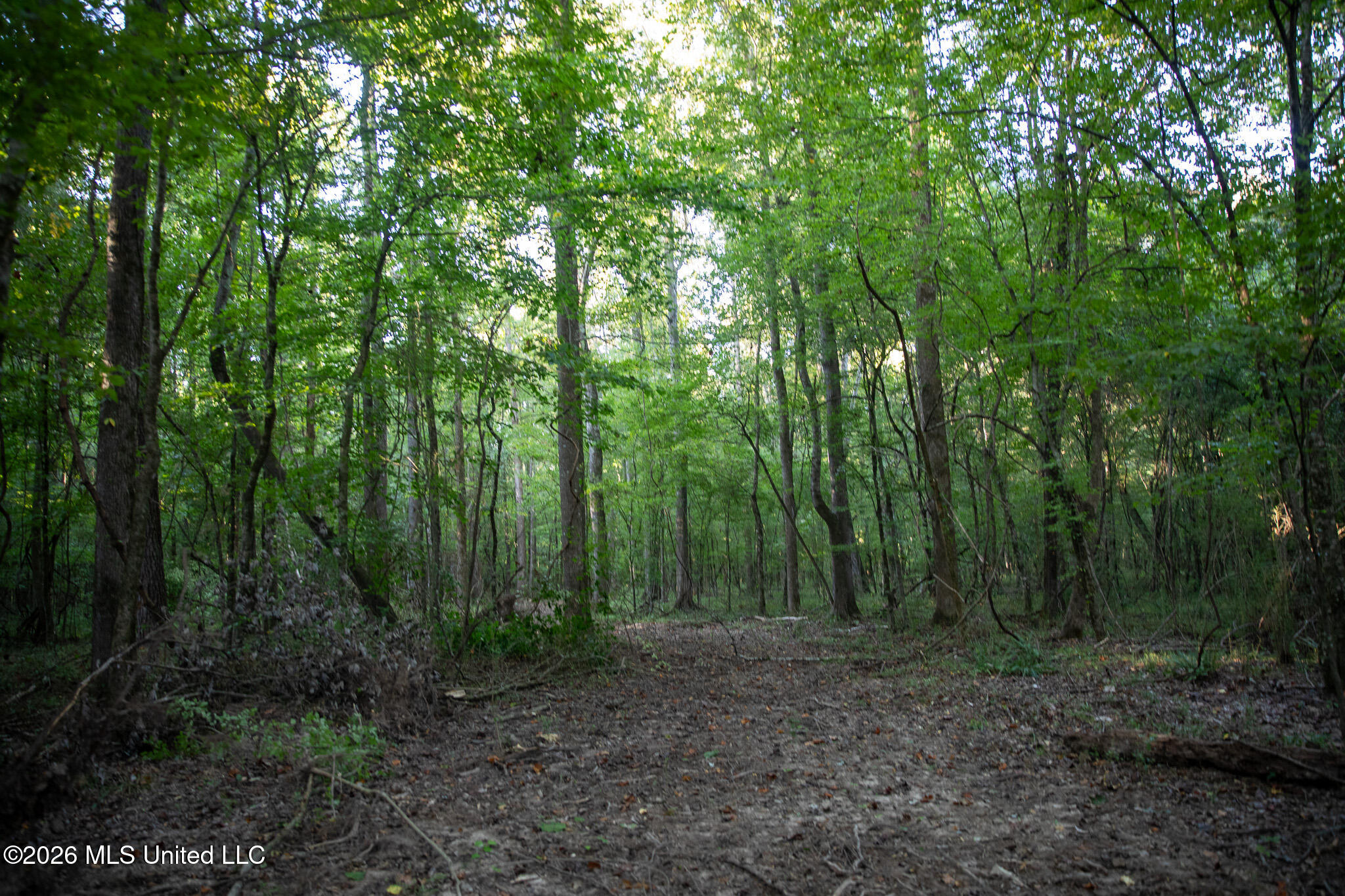 Owen Boone Rd Property Photo 12