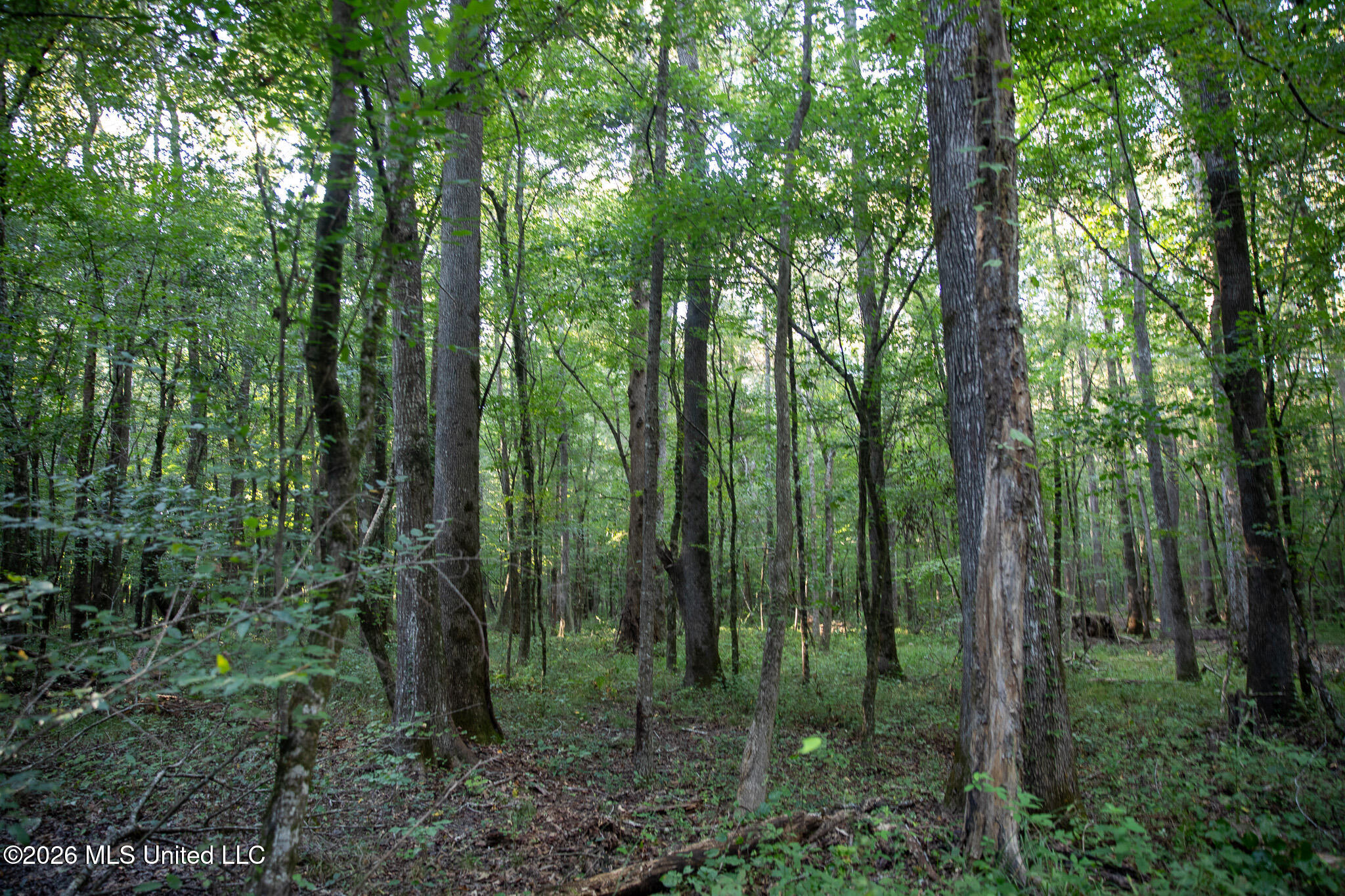 Owen Boone Rd Property Photo 14