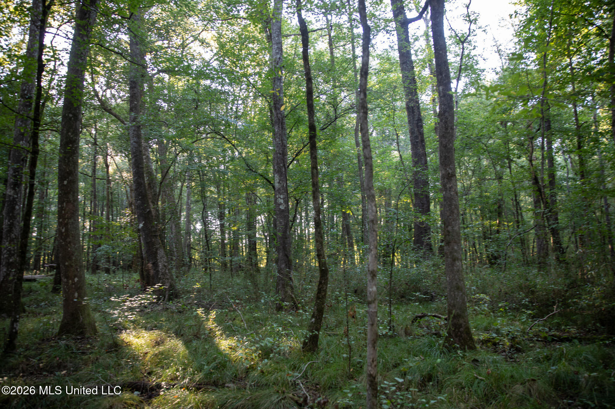 Owen Boone Rd Property Photo 17