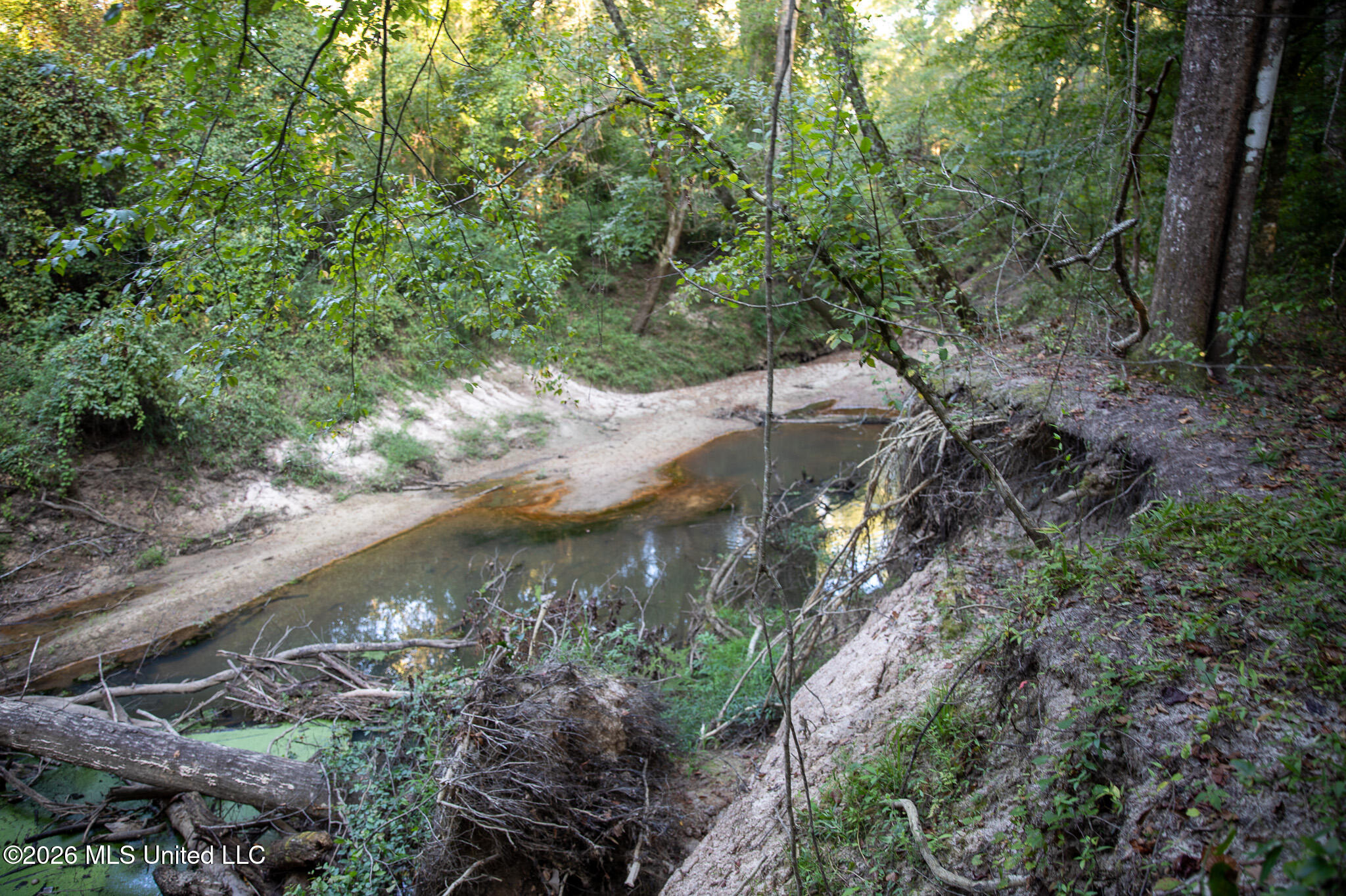 Owen Boone Rd Property Photo 22