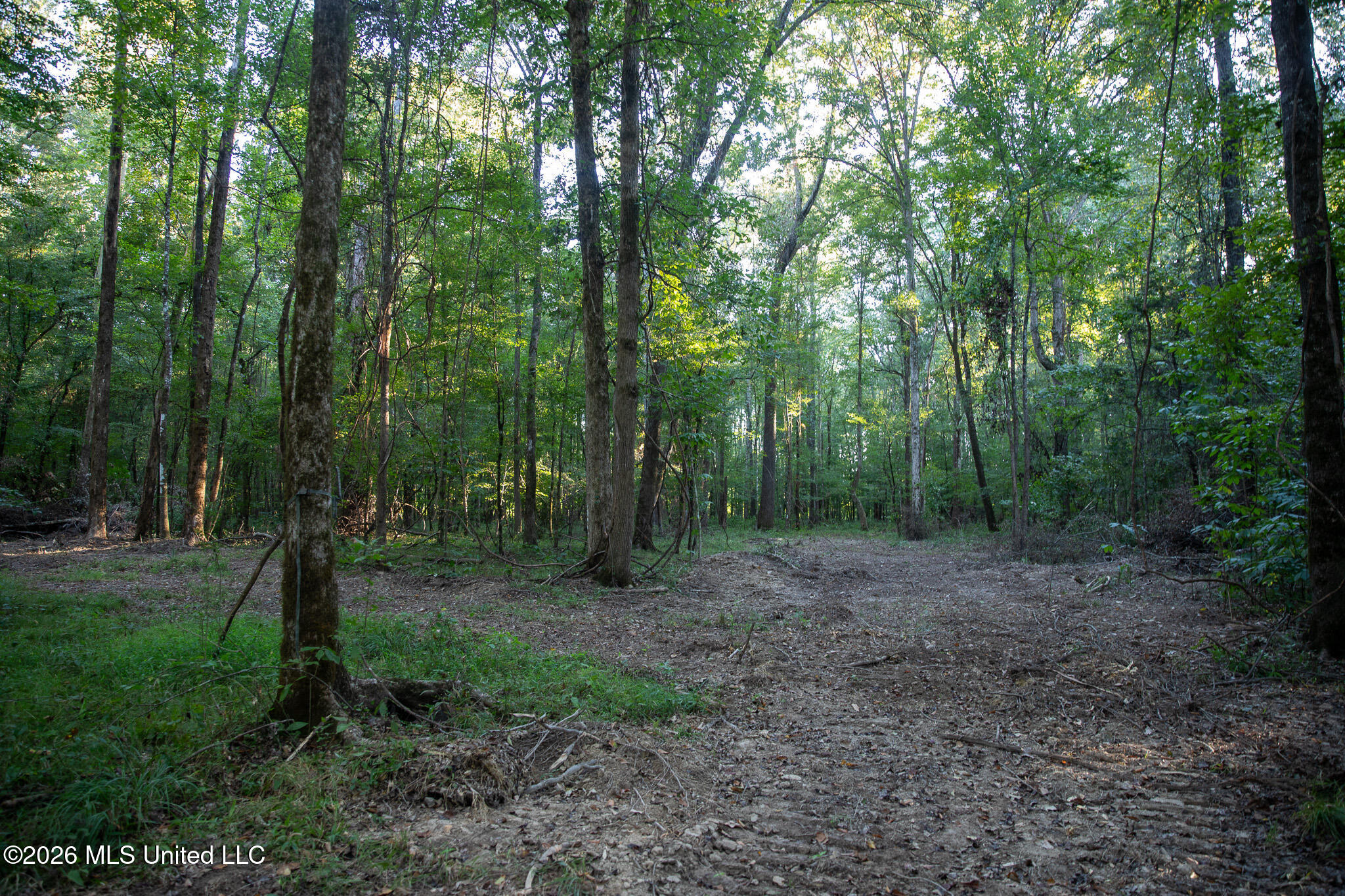 Owen Boone Rd Property Photo 25