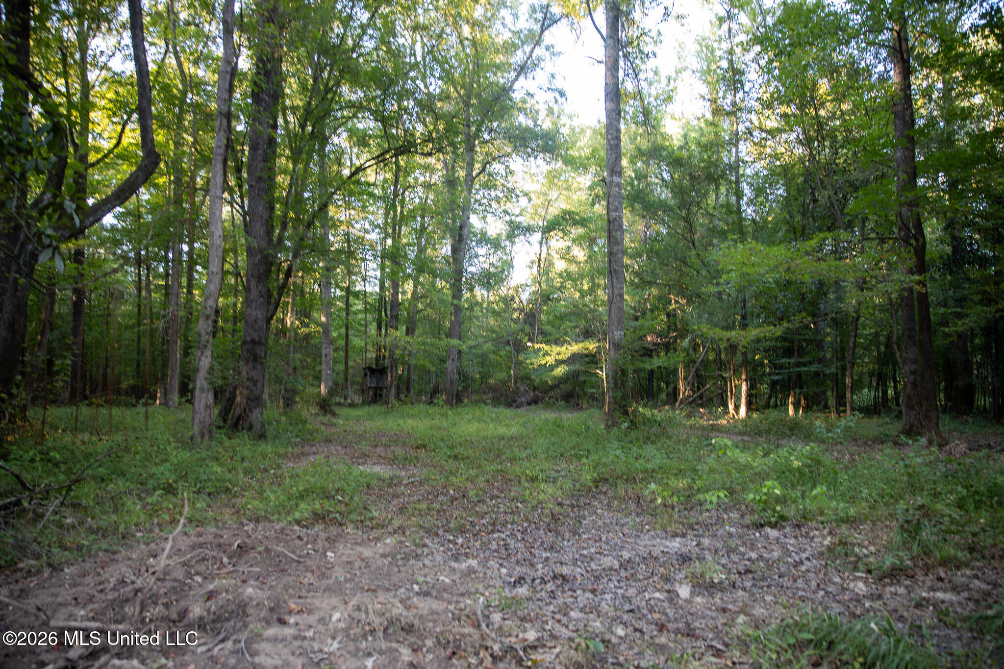 Owen Boone Rd Property Photo 26