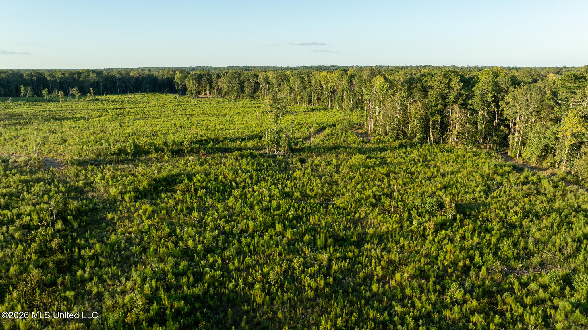 Owen Boone Rd Property Photo 38